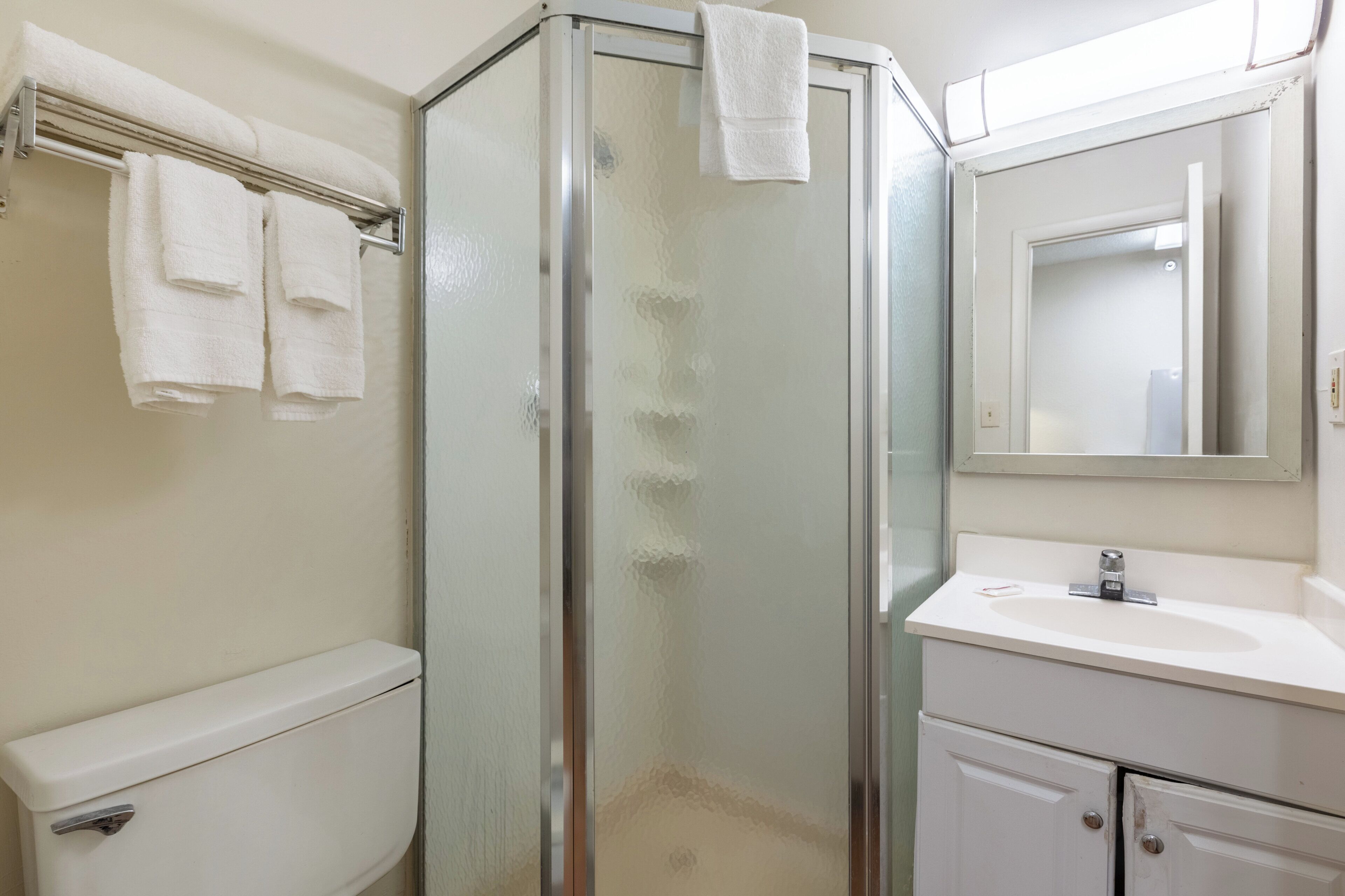 A bathroom with a glass shower enclosure, a toilet, a sink, and a mirror.