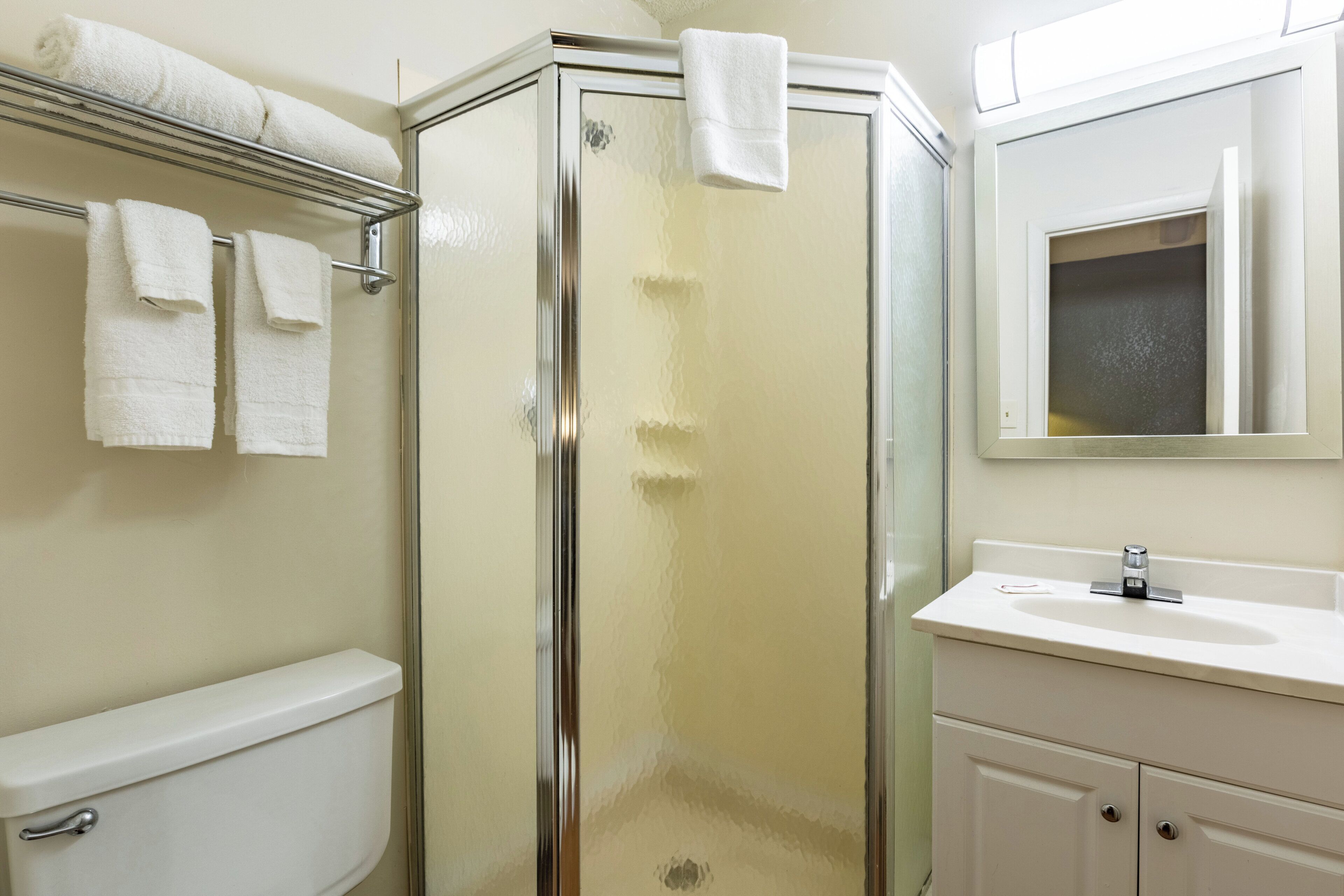 A bathroom with a glass shower enclosure, a toilet, a sink, and a mirror.