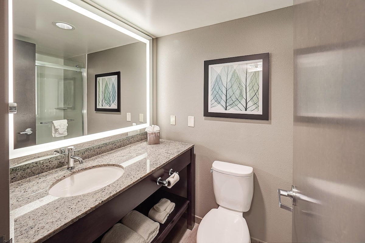 Eco-friendly toiletries, hair dryer, towels, soap