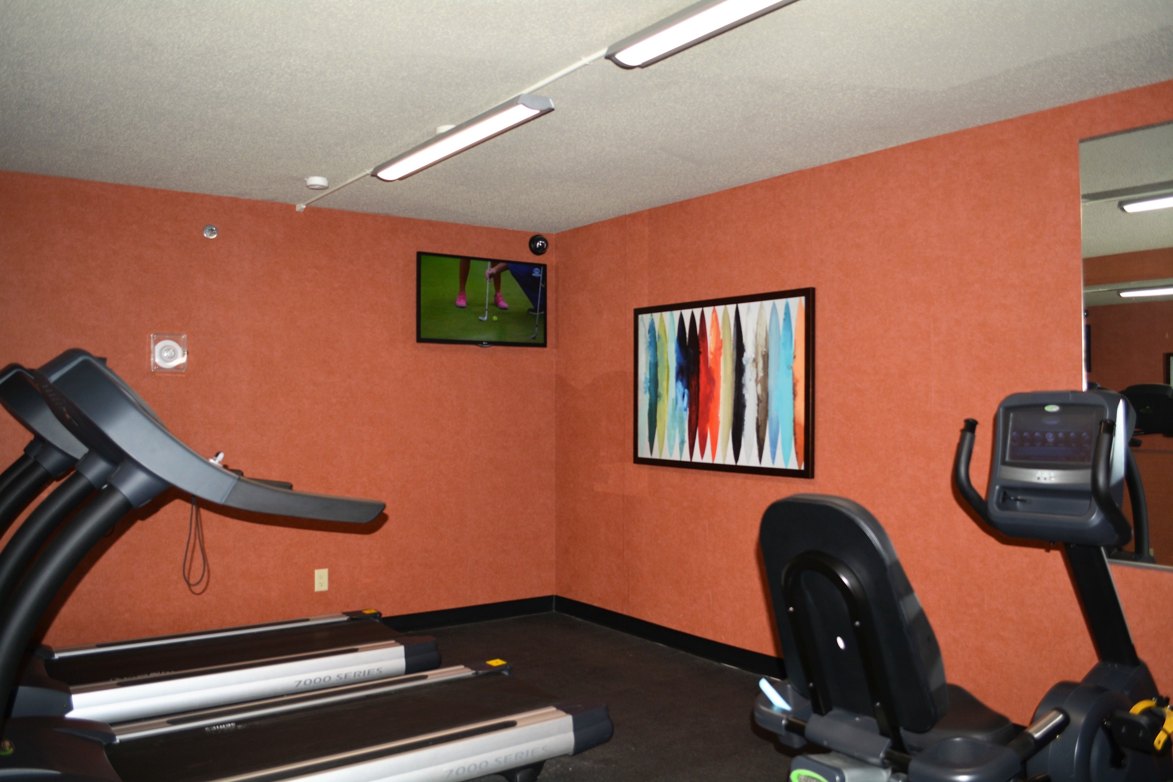 Un gimnasio con cintas de correr y una máquina elíptica, un televisor en la pared y un cuadro abstracto de colores.