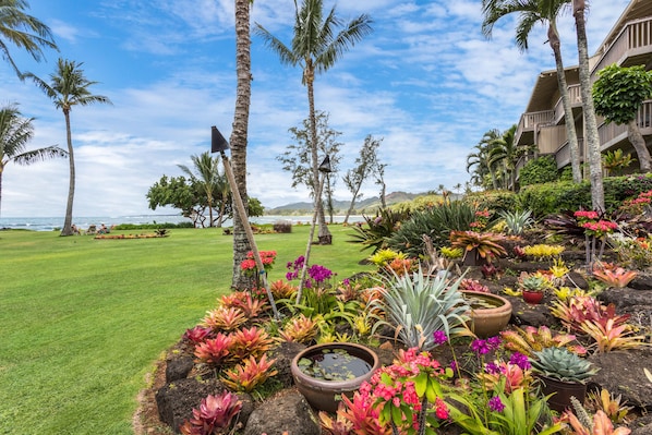 Exterior - Lae Nani Kauai (Kapaa)