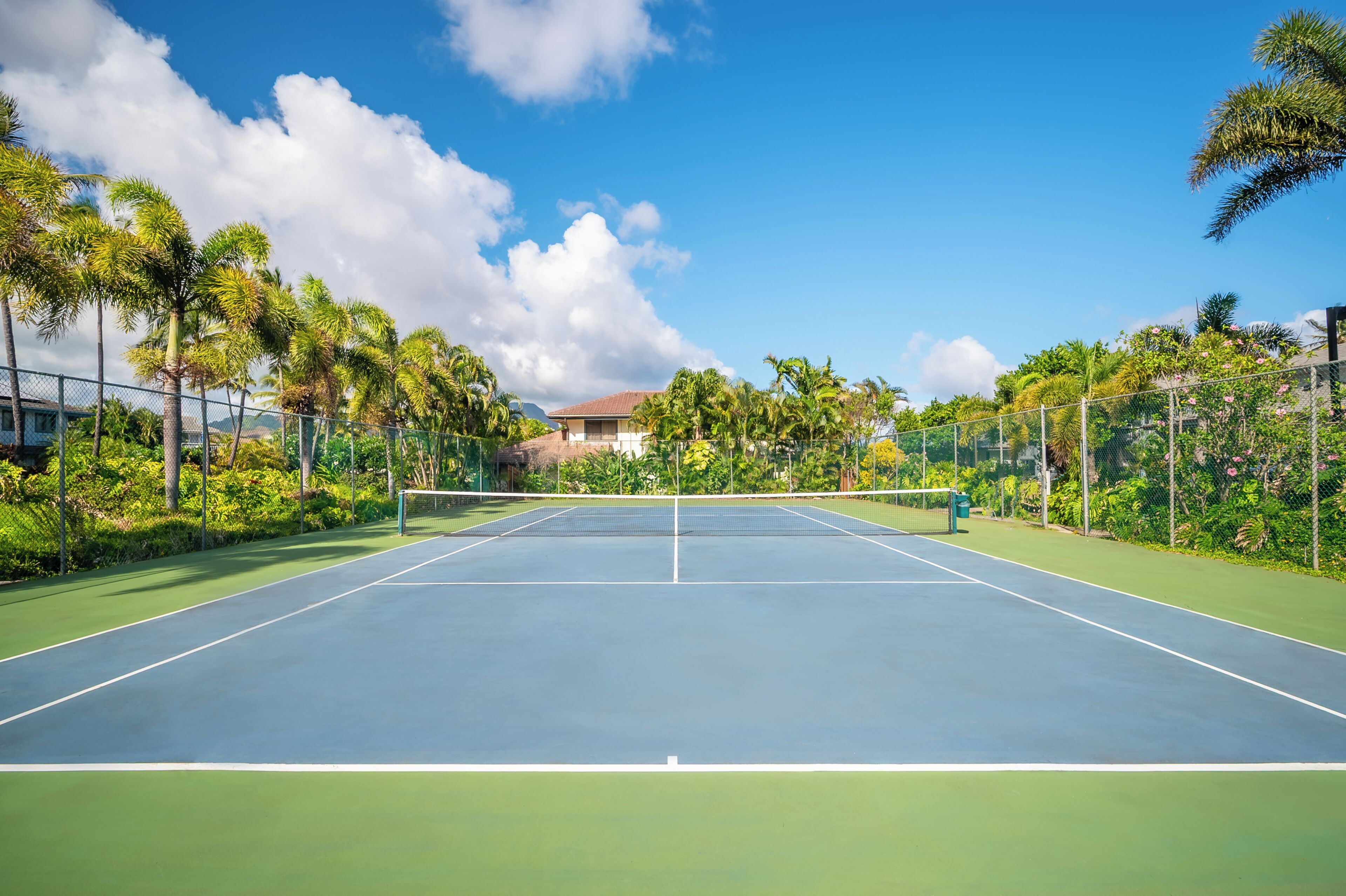 A tennis court with a net, surrounded by greenery and a clear sky.