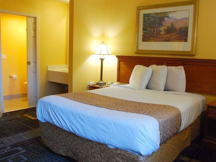 Premium bedding, desk, laptop workspace, blackout drapes