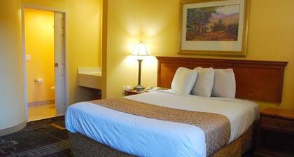 Americas Best Value Inn Addison Dallas