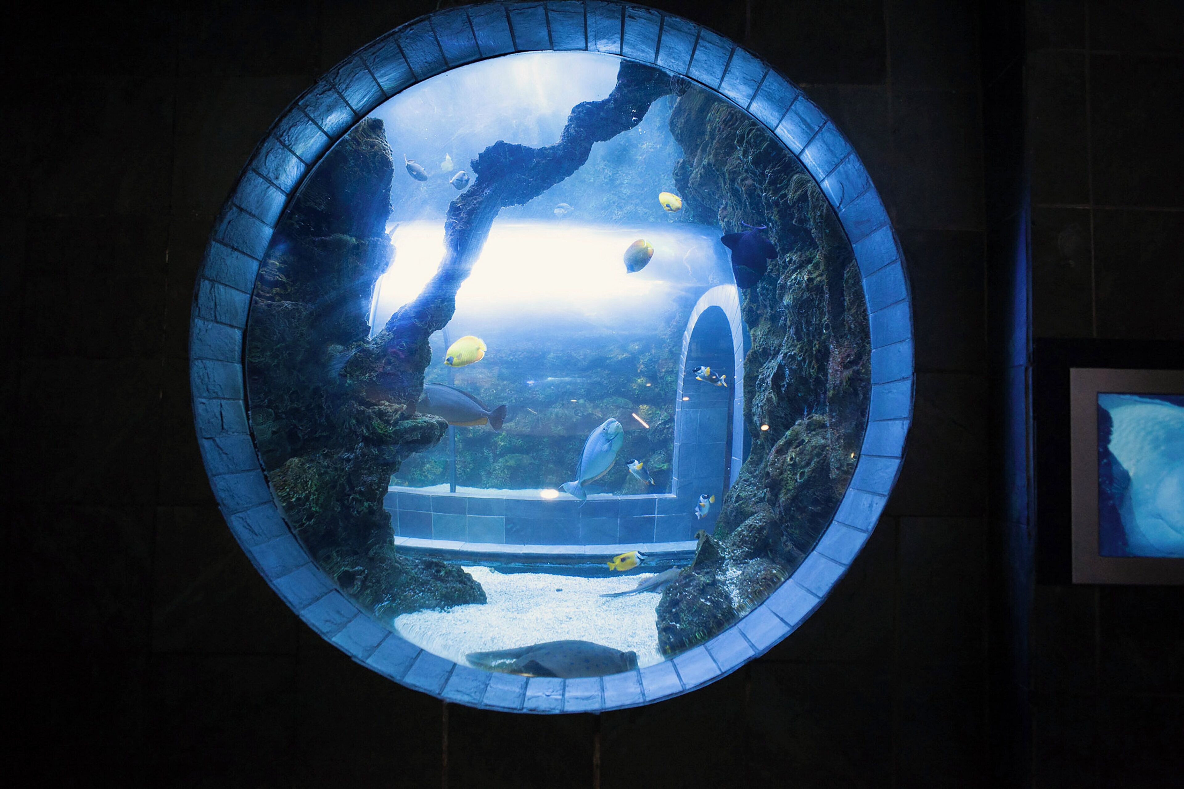 Photo - Crowne Plaza Dallas Downtown by IHG