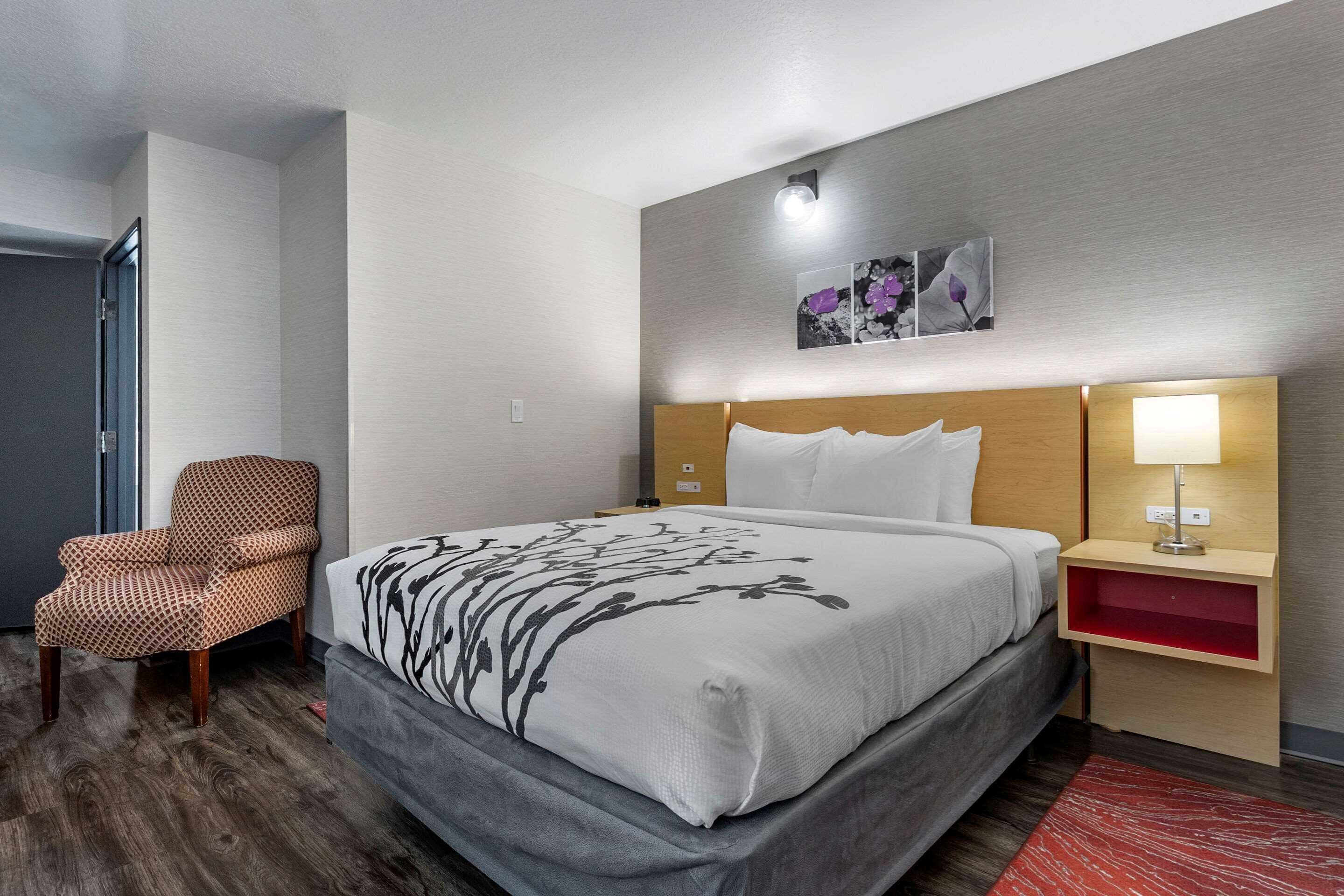 A hotel room with a bed, a chair, a nightstand with a lamp, and a wall-mounted artwork.