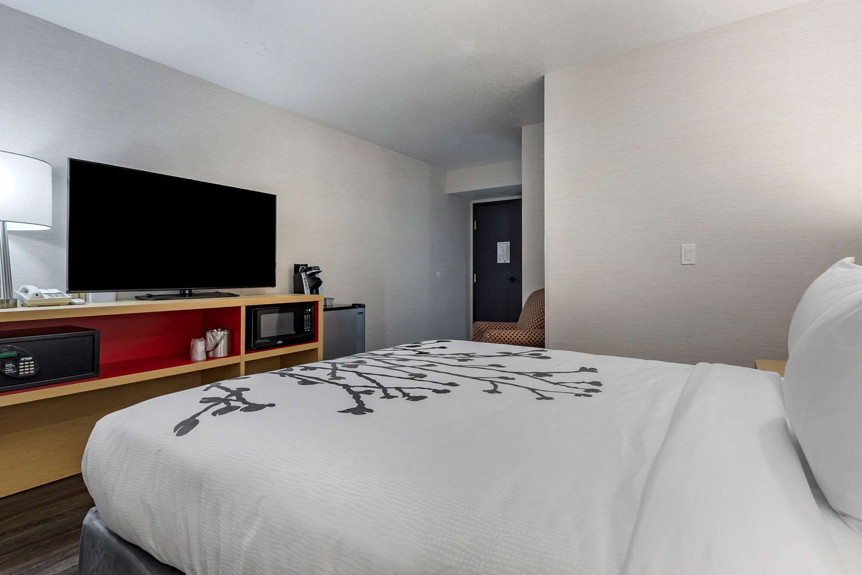 Une chambre d’hôtel équipée d’un lit, d’une télévision, d’un bureau avec une lampe, d’un four à micro-ondes et d’une chaise.