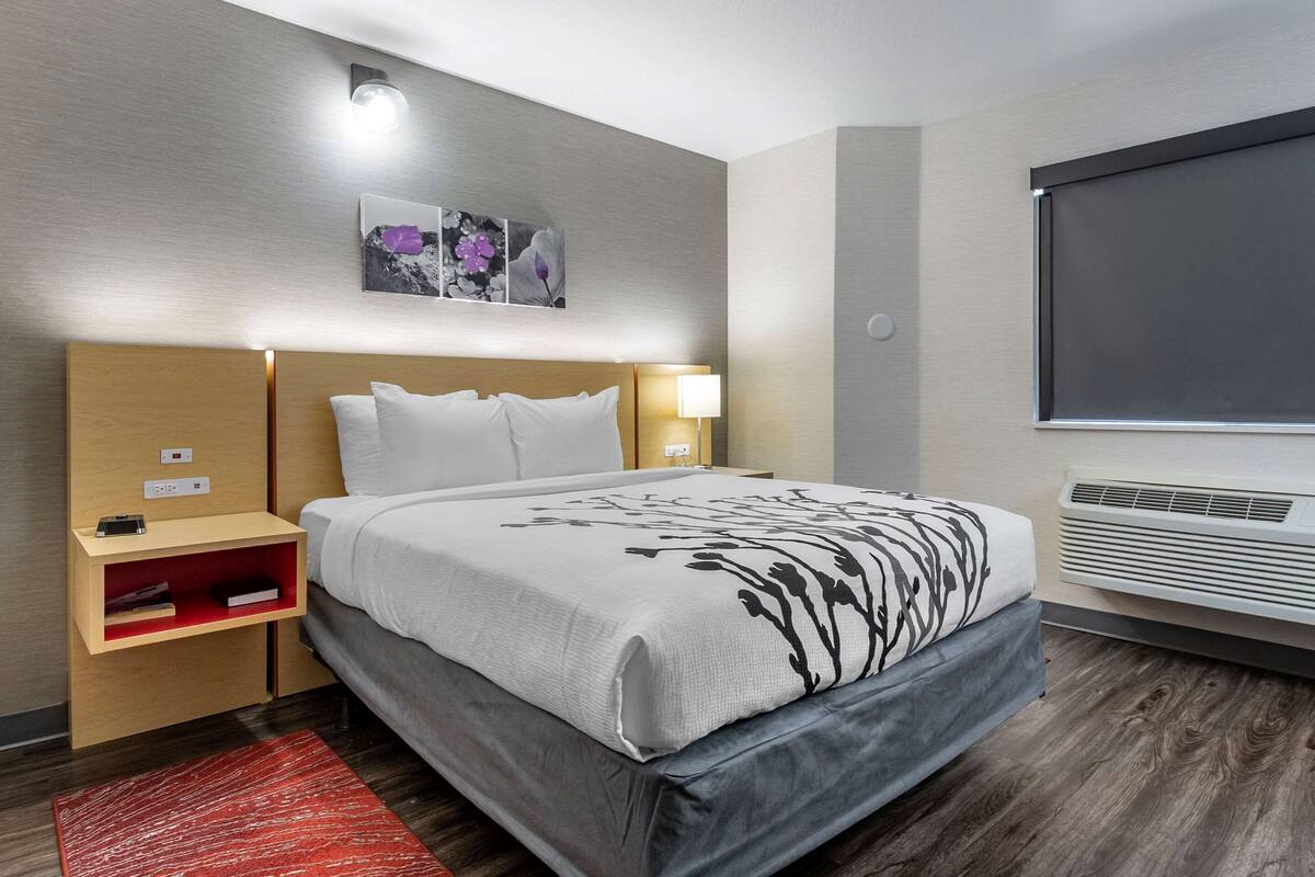 A hotel room with a large bed, bedside tables, a wall-mounted air conditioner, and a red rug.