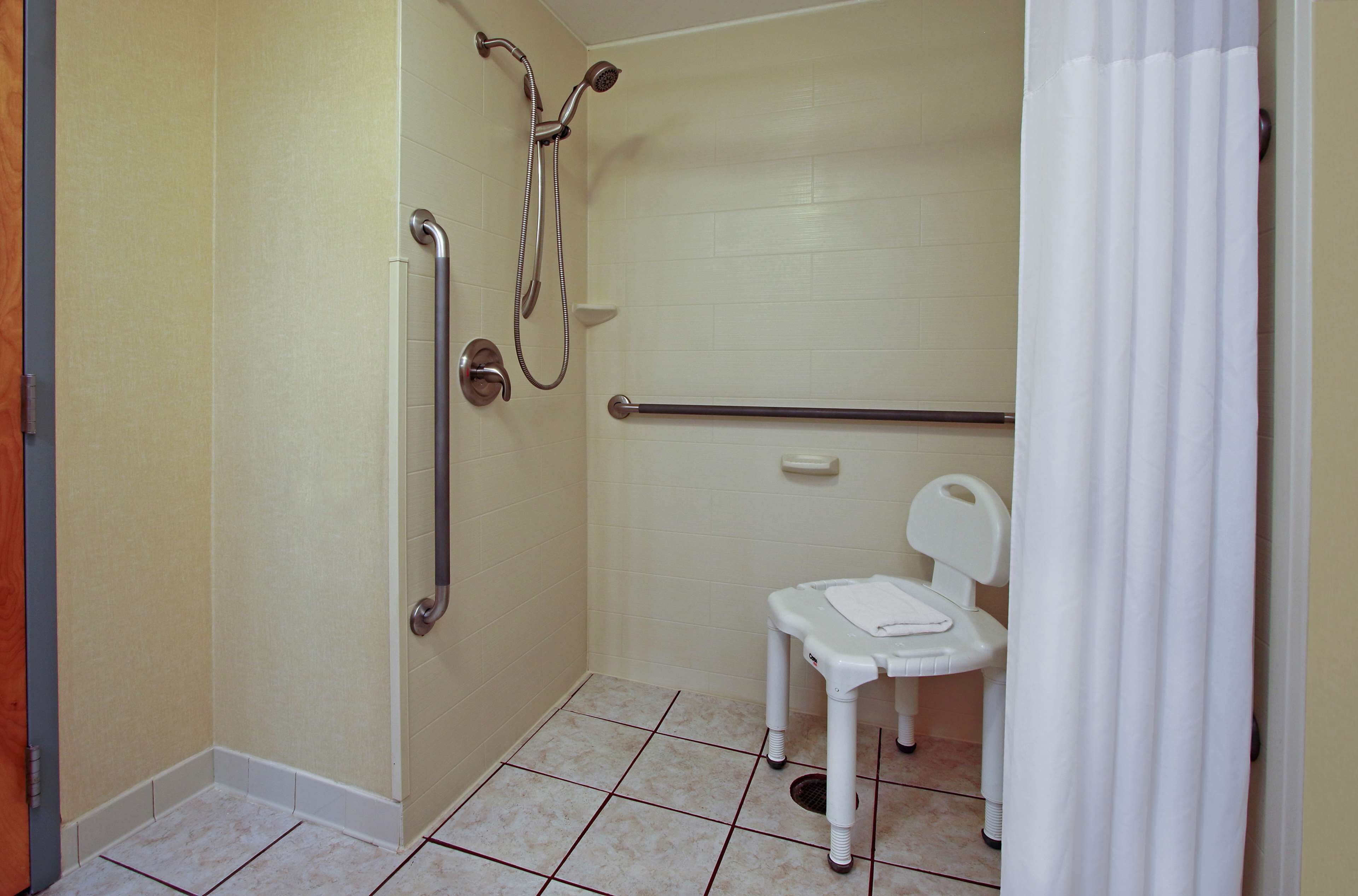 room, 1 king bed, accessible, non smoking | bathroom shower