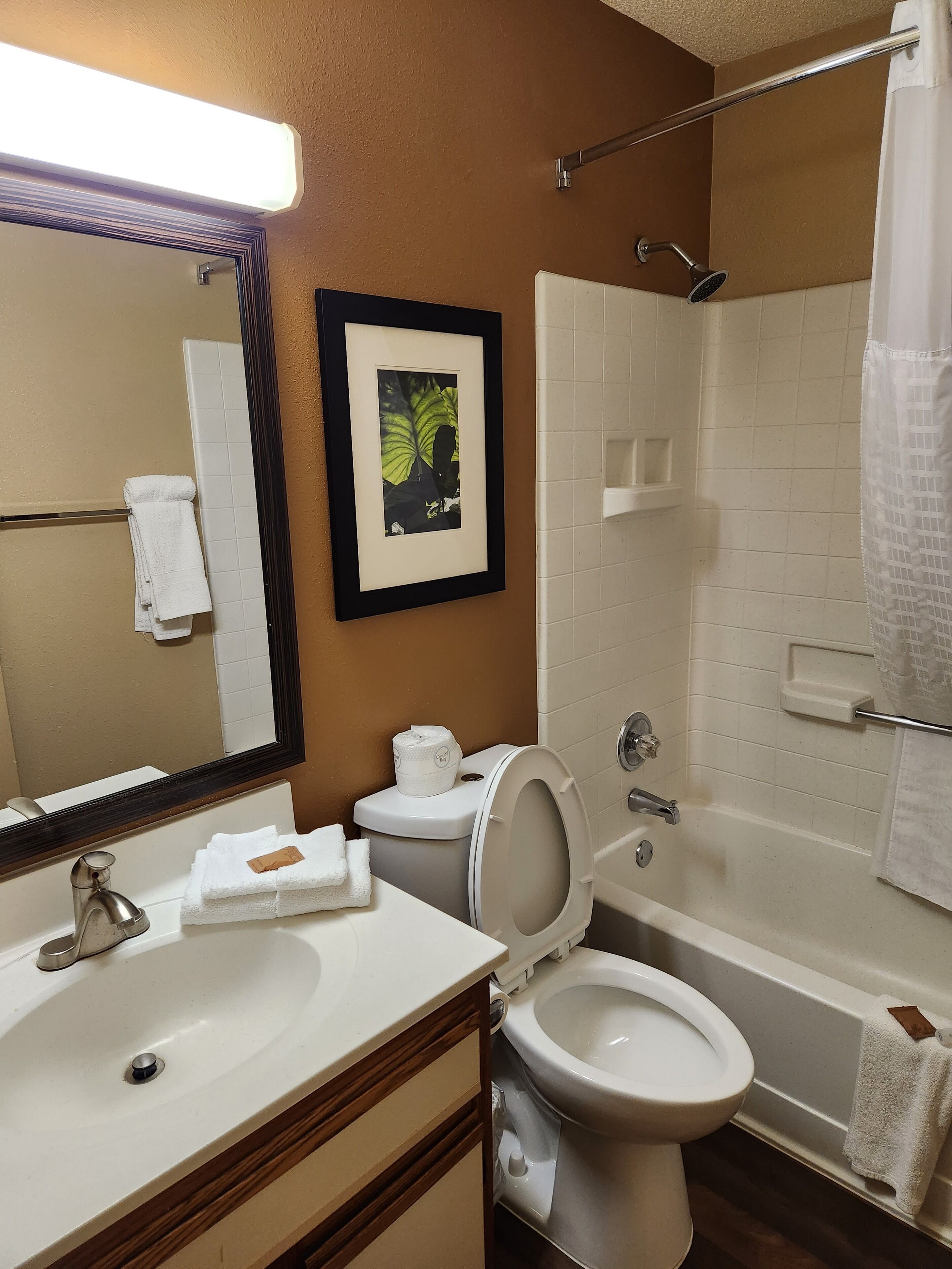 Camera Standard, 1 letto queen, non fumatori | Bagno | Combinazione doccia/vasca, doccia idromassaggio