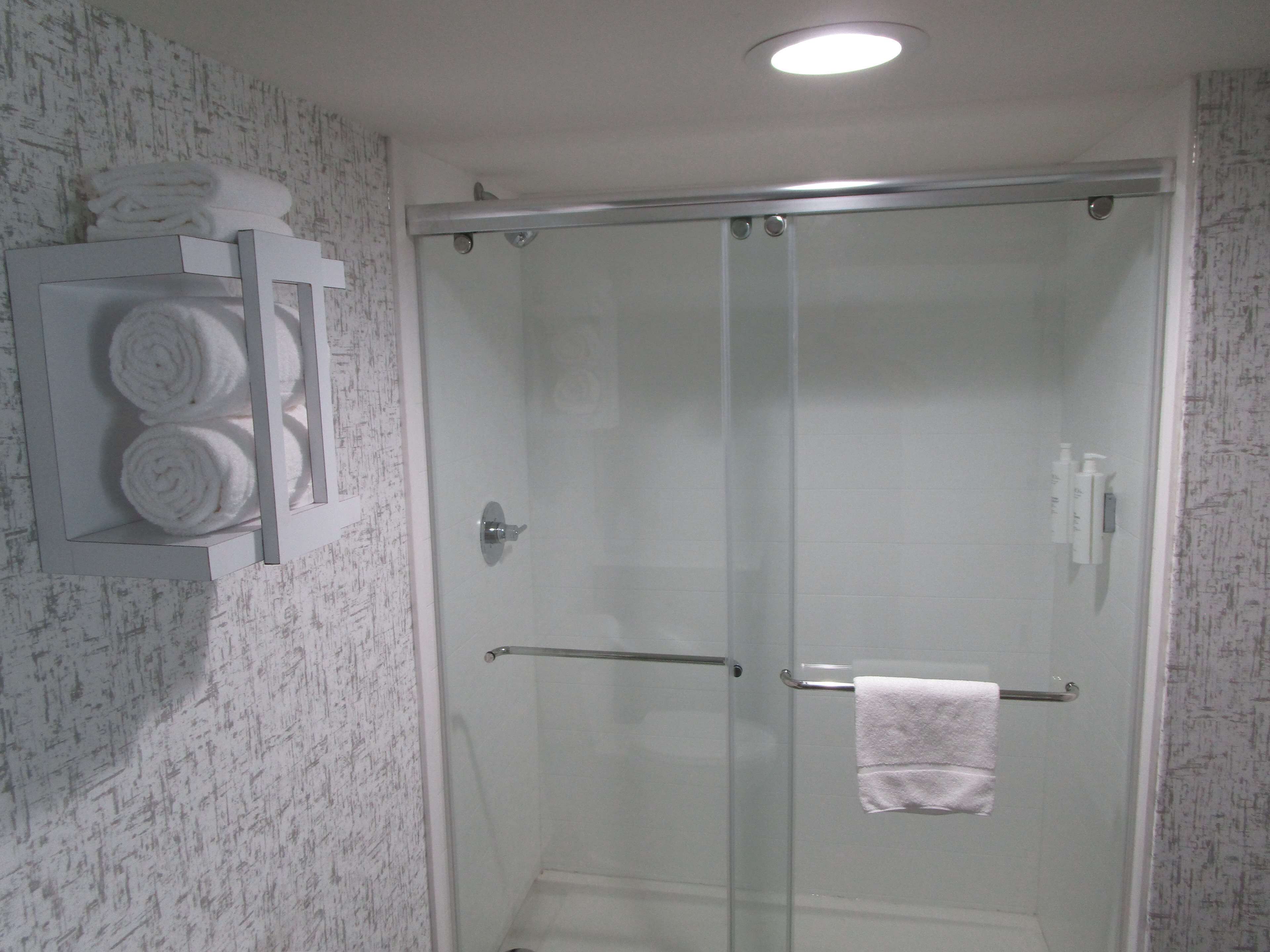 suite, 1 king bed, non smoking (with sofabed) | bathroom | free toiletries, hair dryer, towels