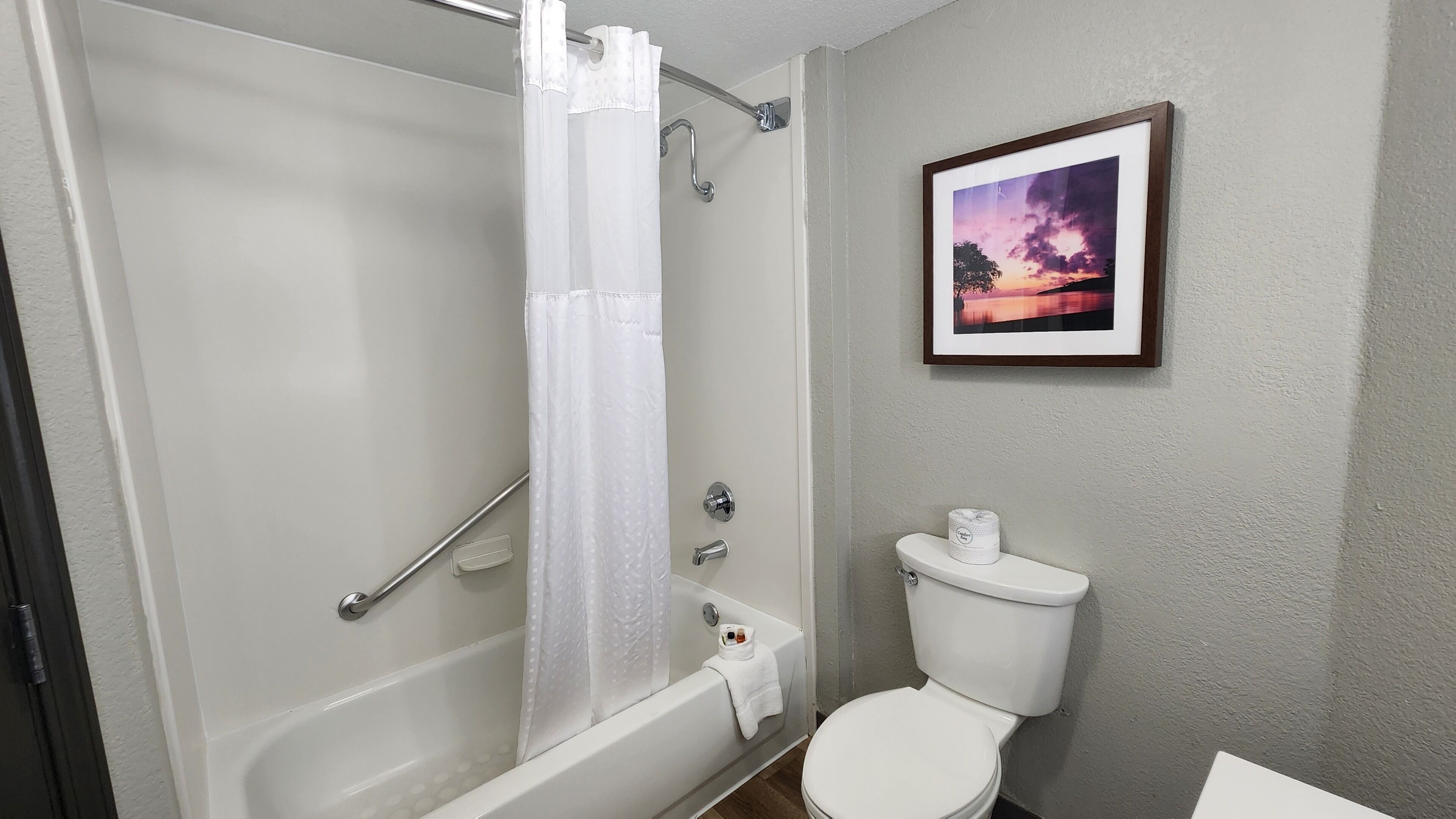 Un baño con bañera, inodoro y un cuadro en la pared.