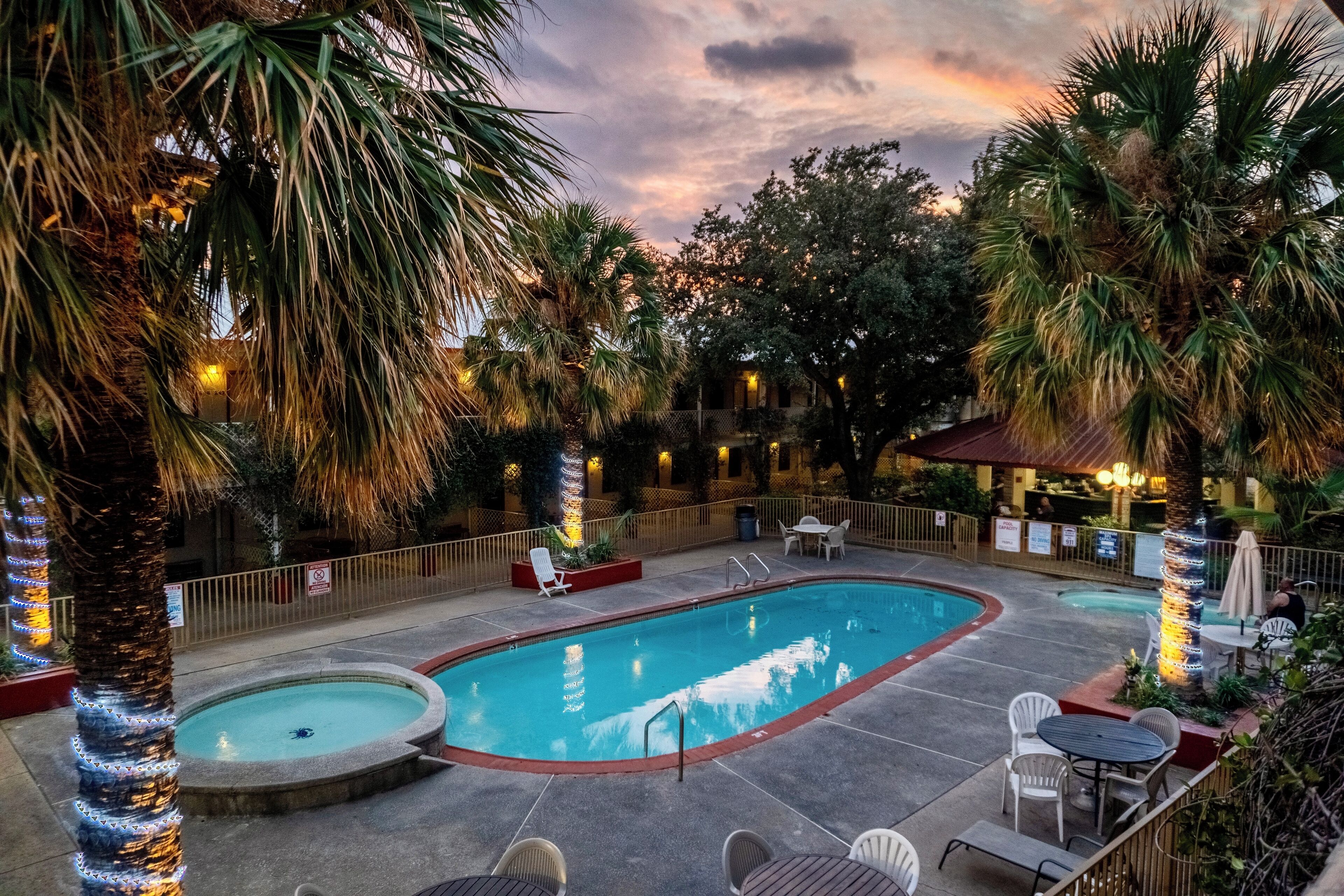Une piscine entourée d’une terrasse, de palmiers et d’un espace salon extérieur.