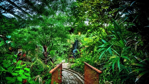 A wooden pathway leading through a lush garden with dense foliage and a small waterfall in the background. - Family Garden Inn & Suites (Laredo)