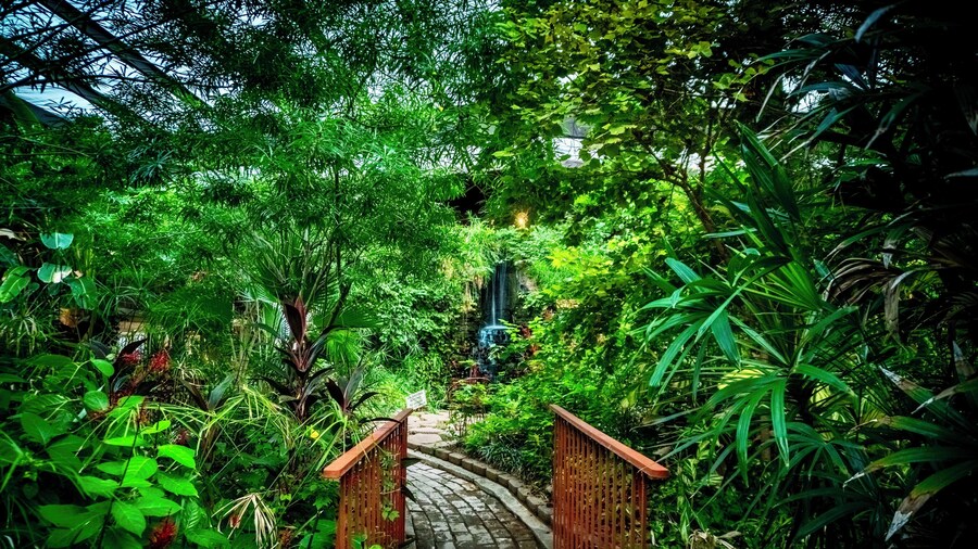 Family Garden Inn & Suites