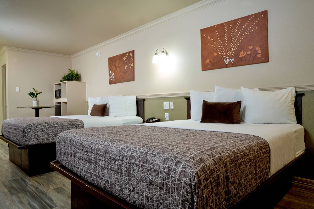 A hotel room with two beds, a small table with a plant, and artwork on the walls.