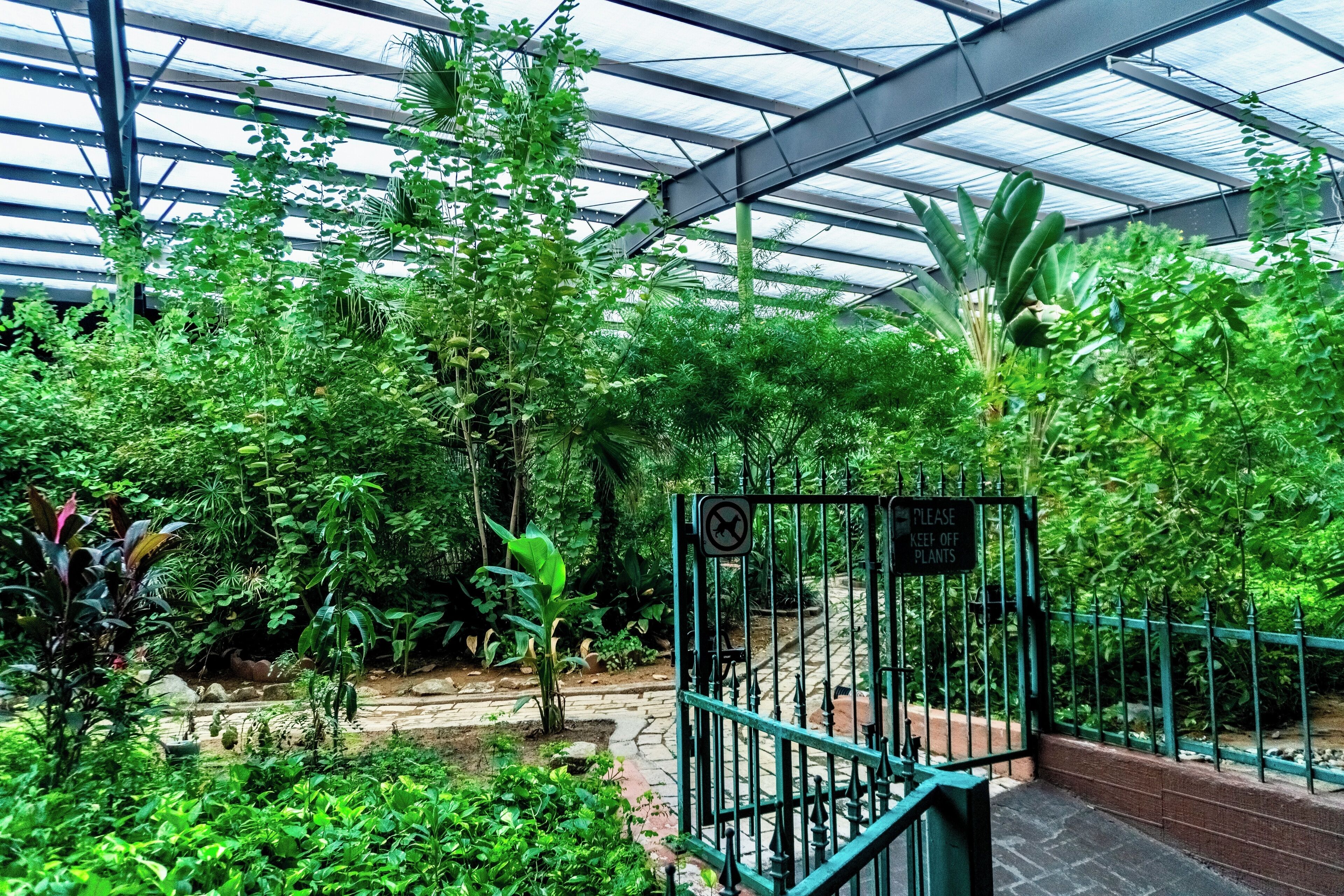 Een kas met diverse planten, een metalen hek met een bordje en een pad van bakstenen.