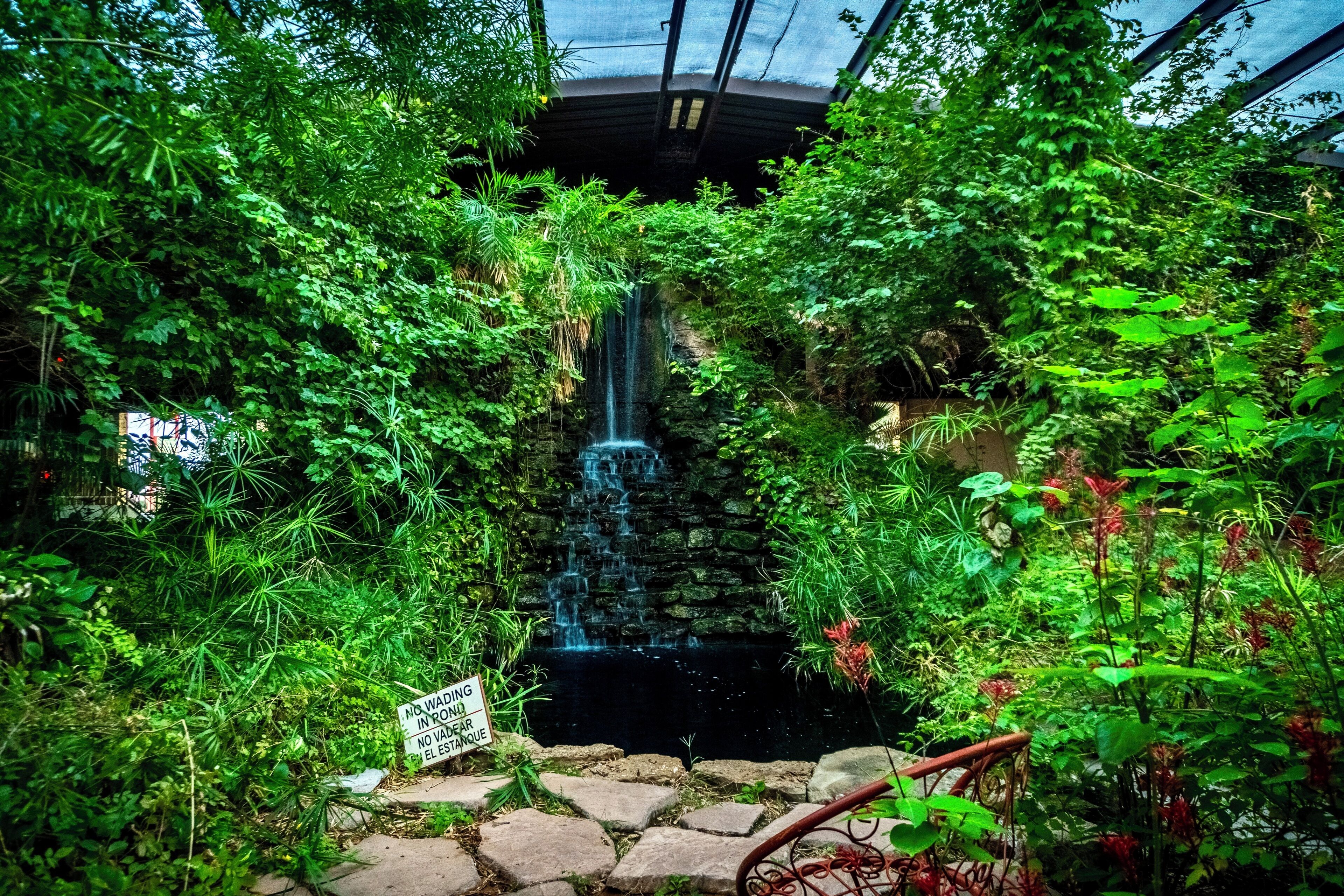 Een weelderige tuin met een waterval, omringd door dichte beplanting en een stenen pad.