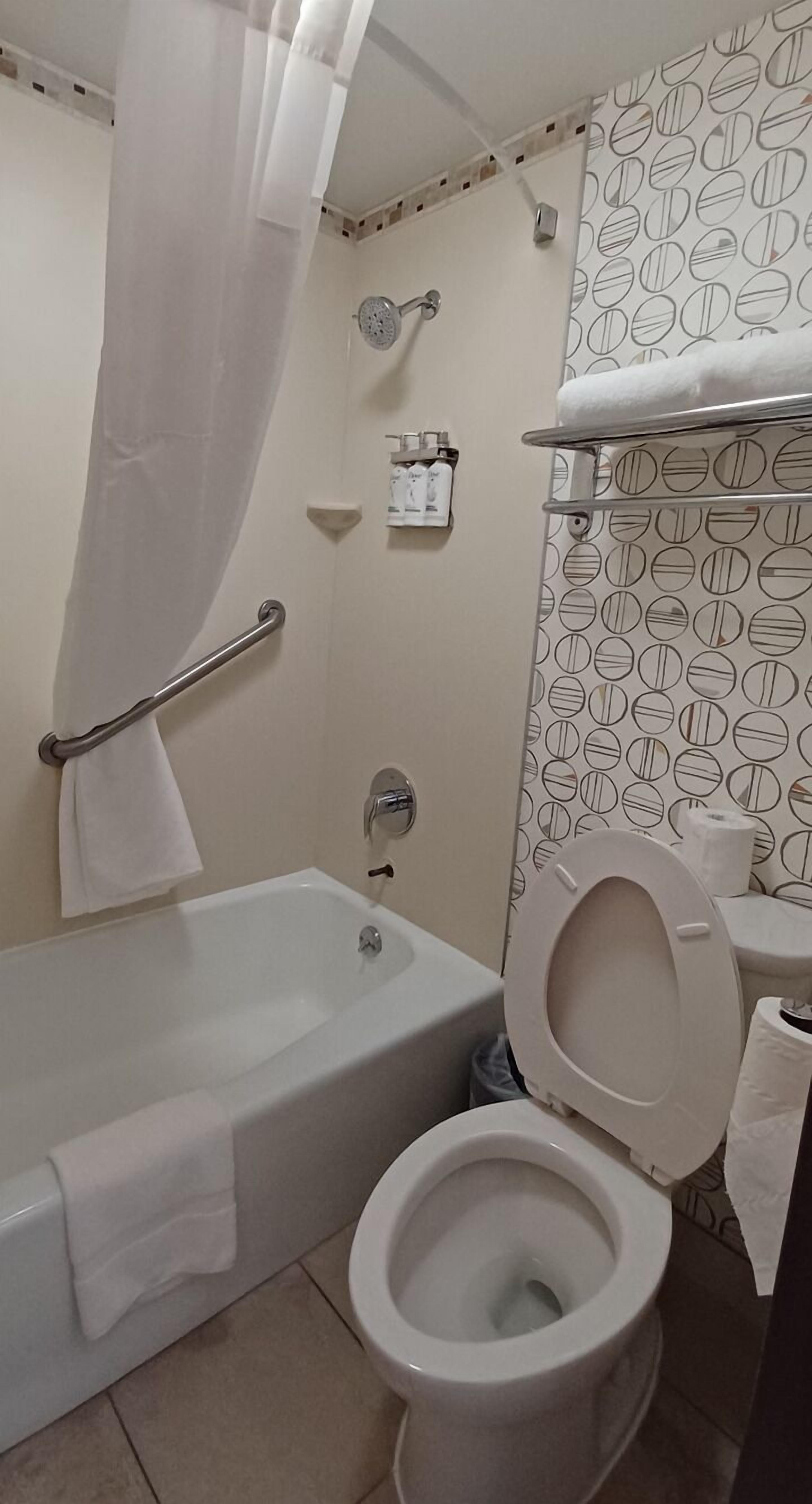 standard room, 1 king bed | bathroom | combined shower/bathtub, free toiletries, hair dryer, towels