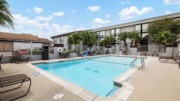 Outdoor pool, sun loungers