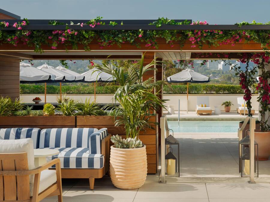 Terraço no telhado com piscina, área de estar externa e plantas em vasos.