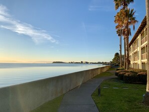 A waterfront hotel with a concrete barrier, a pathway, and palm trees. - Vagabond Inn Executive San Francisco Airport (Burlingame)