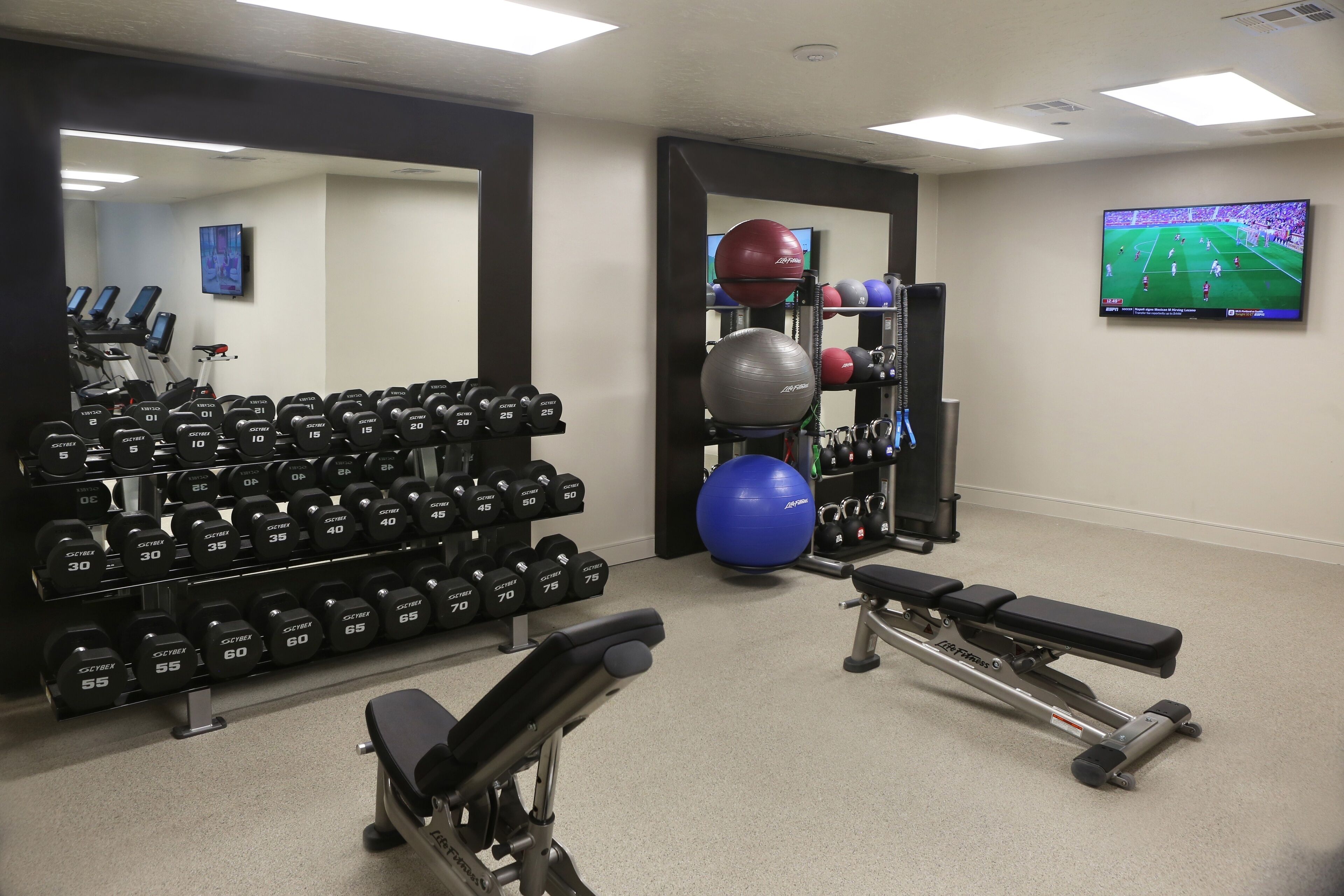 A gym with exercise equipment, a television, and a mirror.