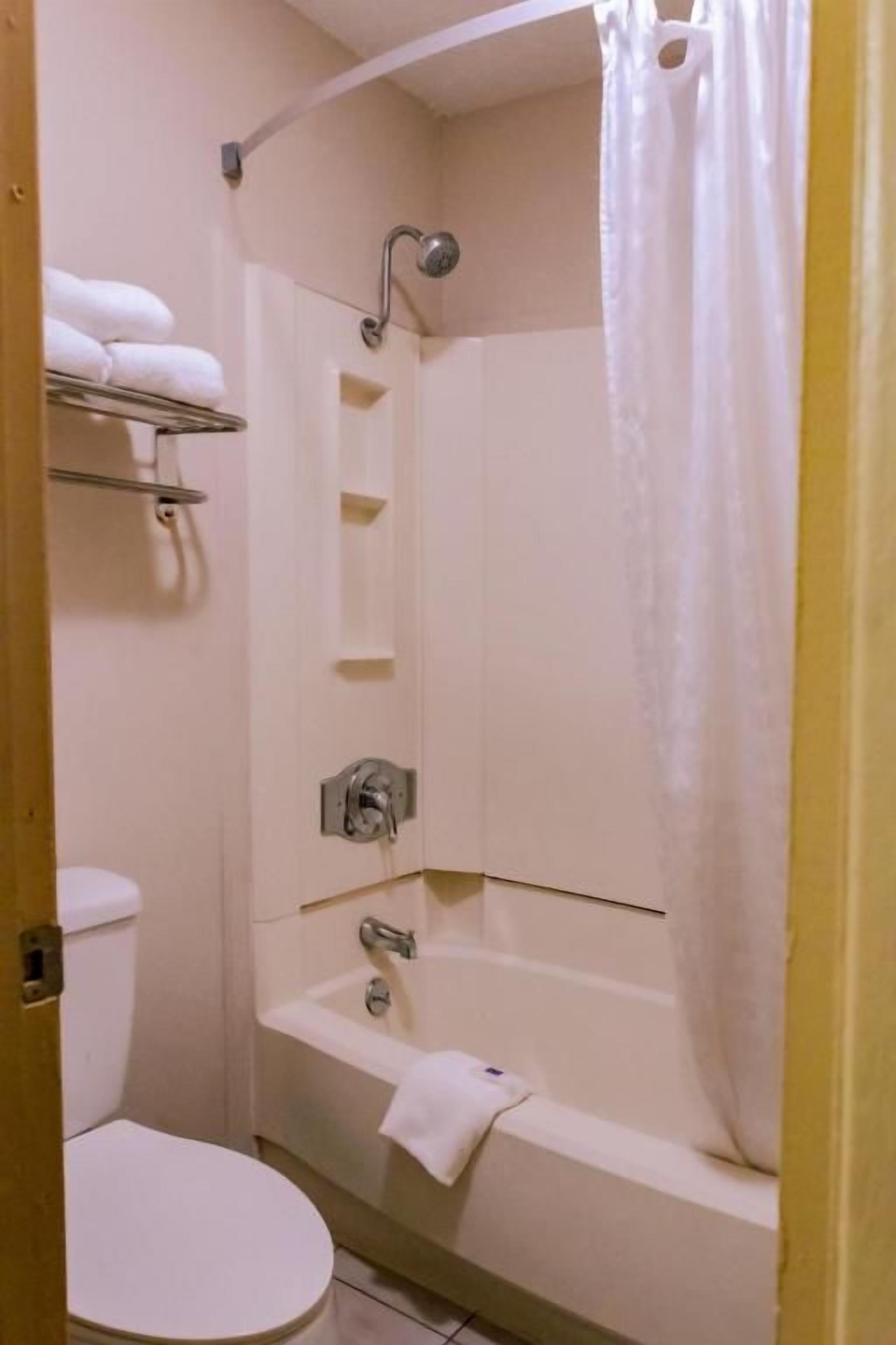 A bathroom with a toilet, a bathtub, and a shower.