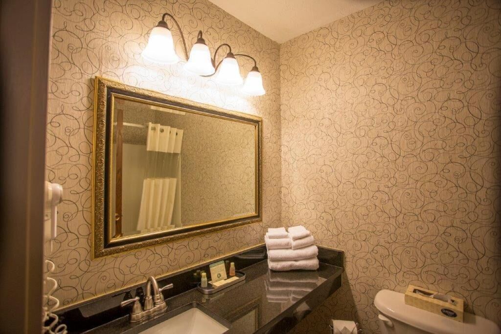 combined shower/bathtub, free toiletries, hair dryer, towels