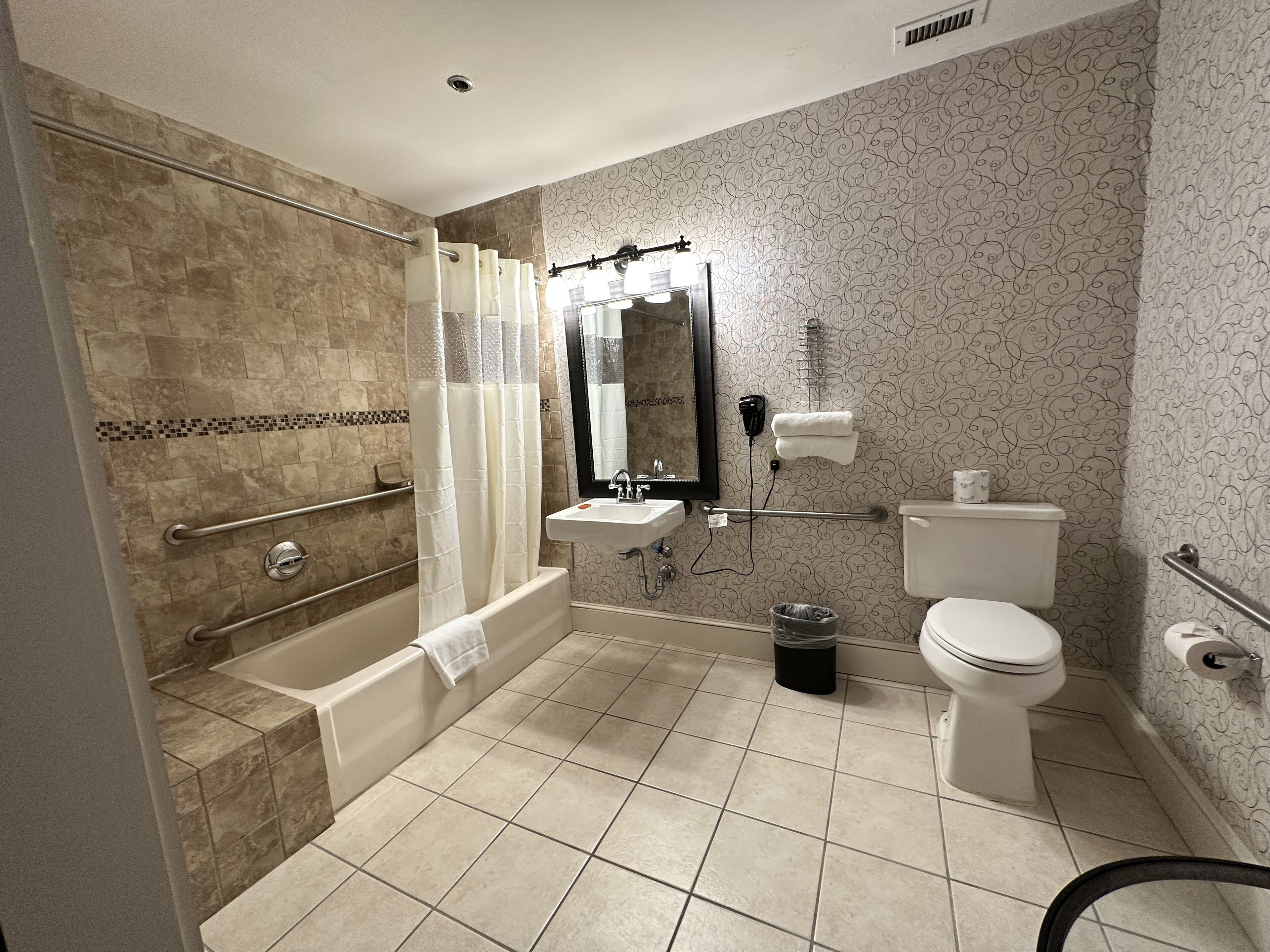 standard single room, 1 king bed, accessible | bathroom | combined shower/bathtub, free toiletries, hair dryer, towels