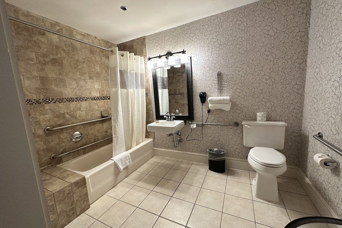 standard single room, 1 king bed, accessible | bathroom | combined shower/bathtub, free toiletries, hair dryer, towels