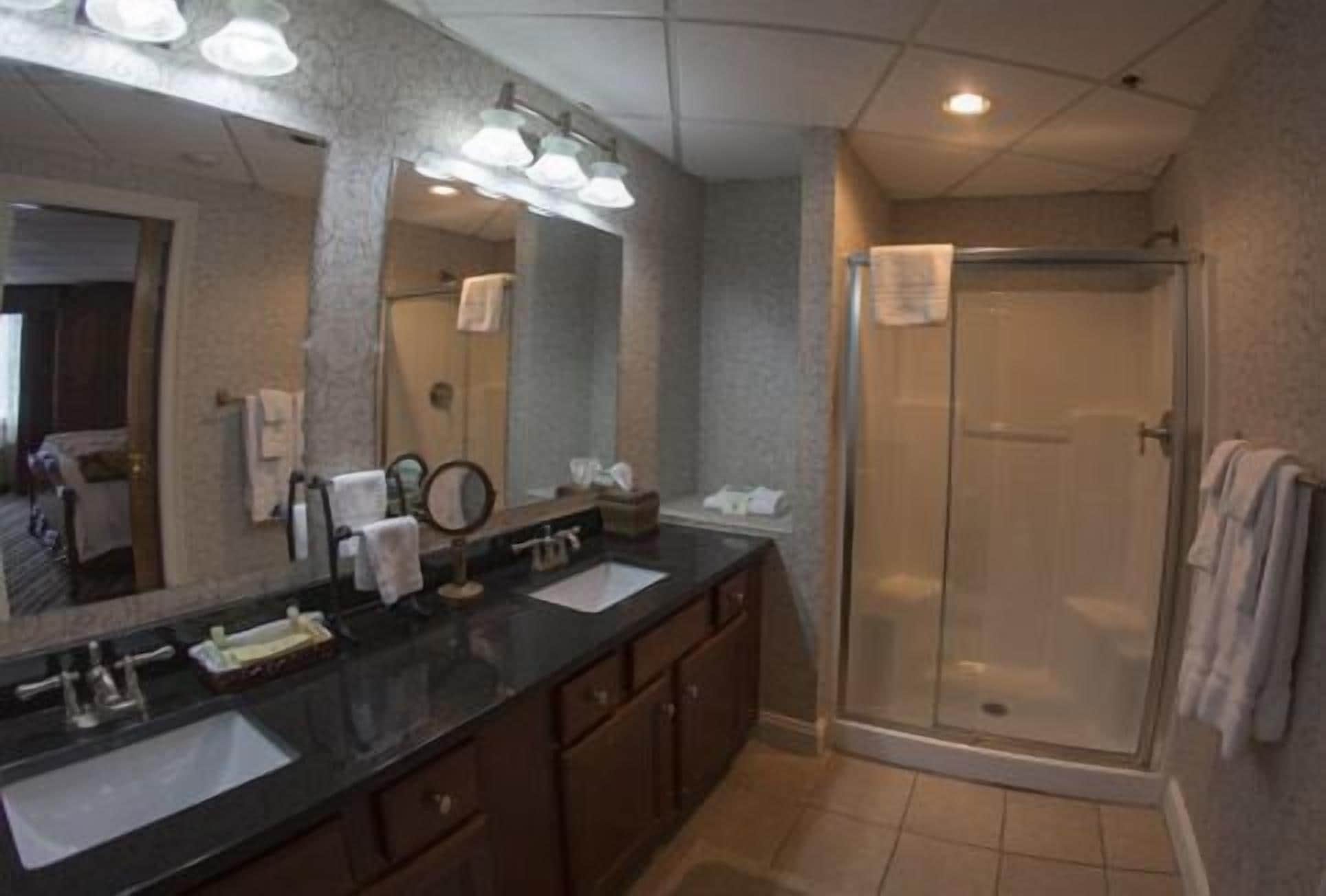 combined shower/bathtub, free toiletries, hair dryer, towels