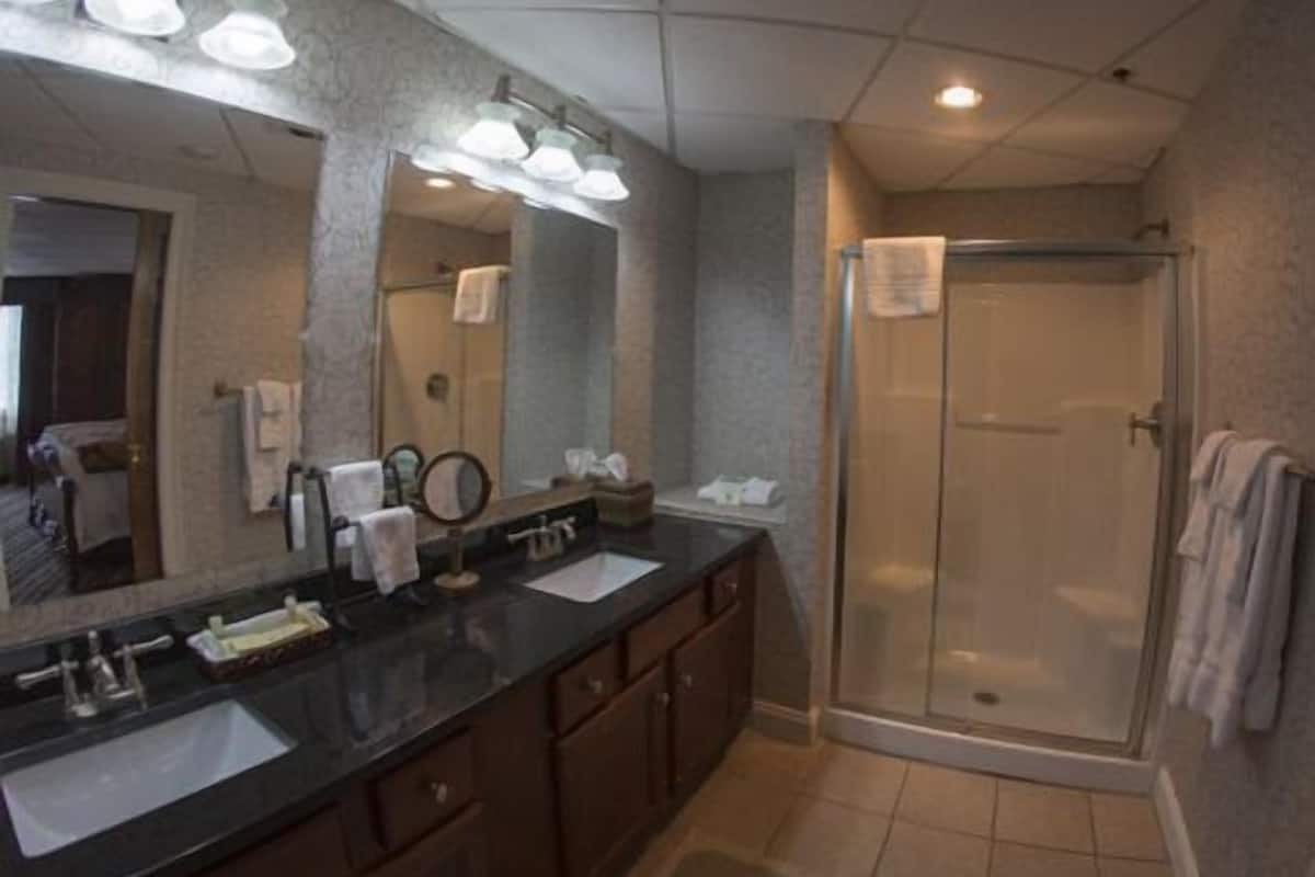 combined shower/bathtub, free toiletries, hair dryer, towels