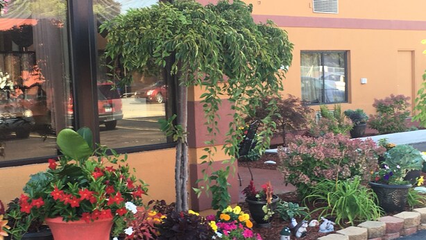 A garden with various potted plants and flowers in front of a building with a window.