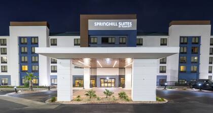 SpringHill Suites by Marriott San Antonio Medical Center/NW
