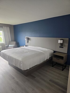 Hypo-allergenic bedding, down comforters, pillowtop beds, desk - Rodeway Inn (Portage)