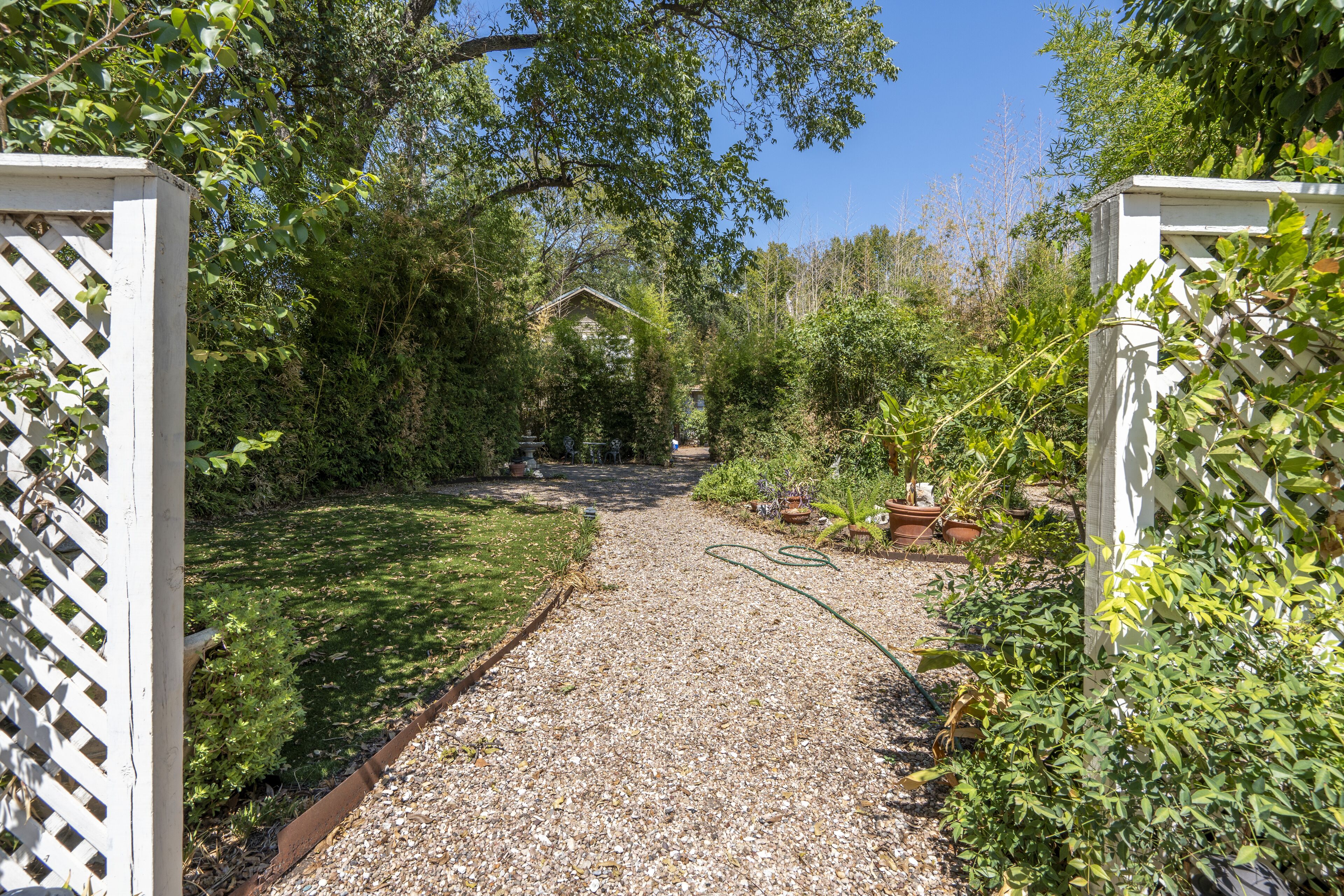 A gravel pathway leading to a wooden house surrounded by dense greenery.