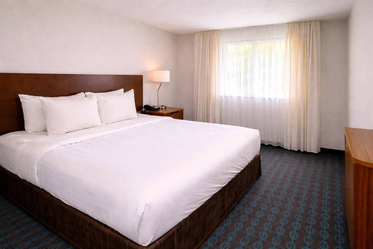 Habitación de hotel con una cama grande, una mesita de noche con lámpara, una ventana con cortinas y una alfombra estampada.