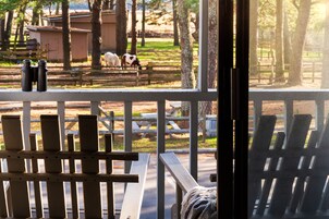 Vista desde la habitación