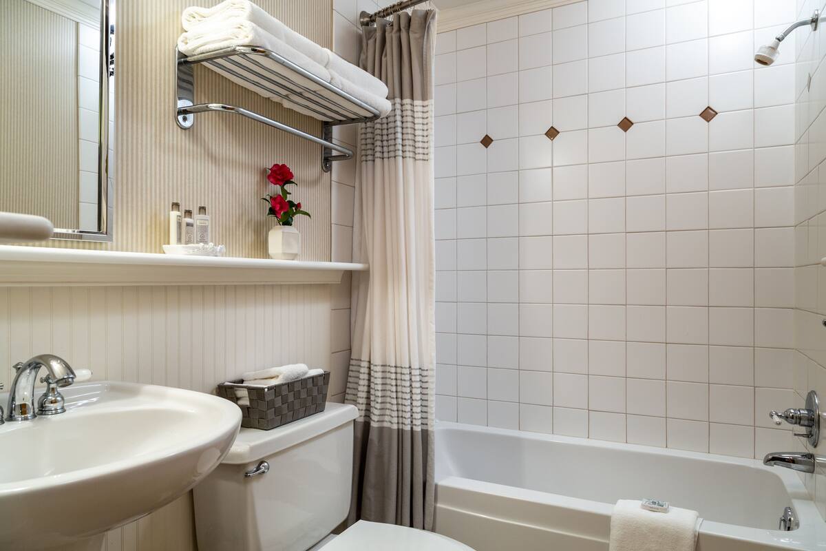 combined shower/bathtub, free toiletries, hair dryer, towels