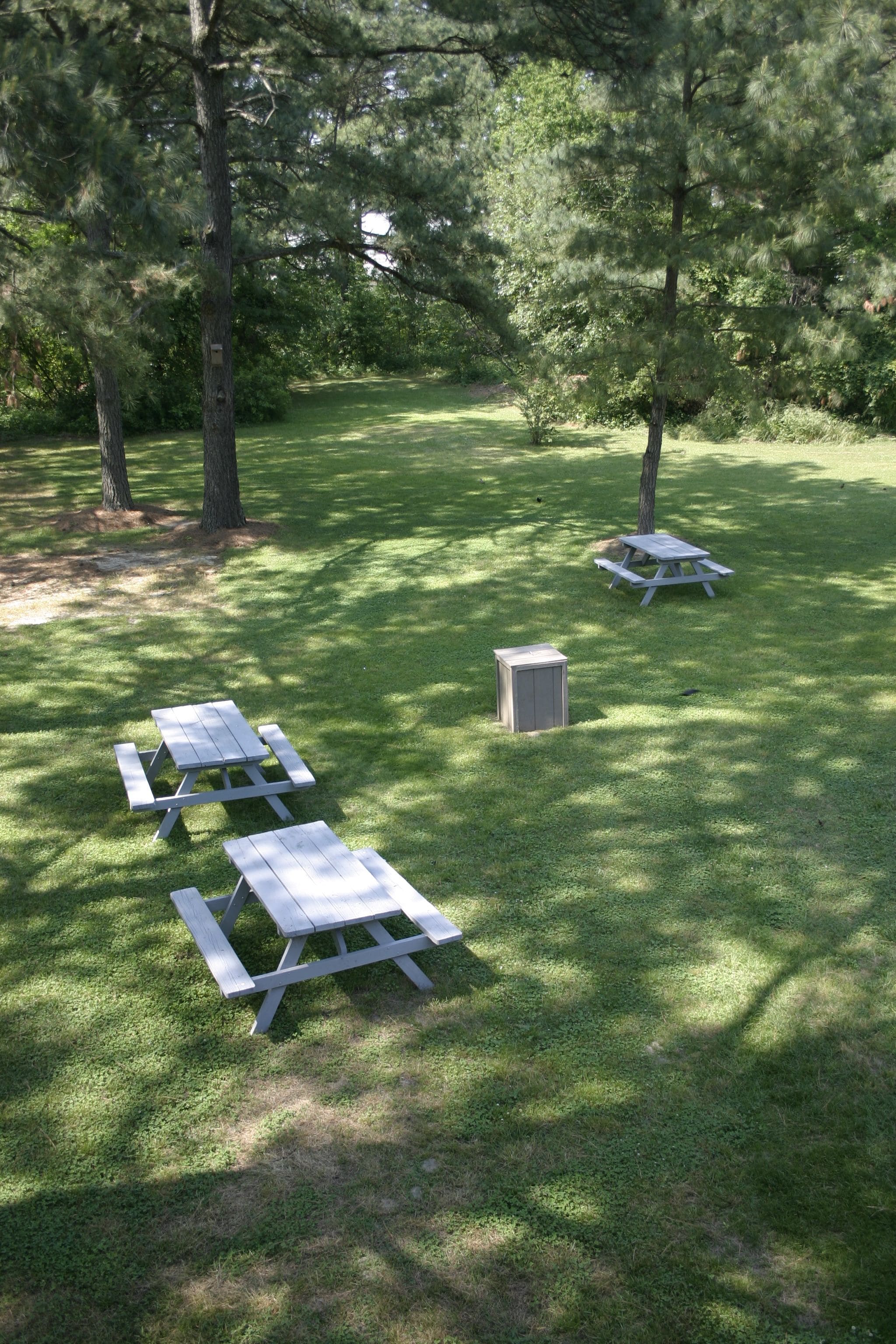 A grassy area with picnic tables and a shed.