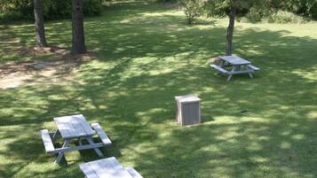 A grassy area with picnic tables and a shed.