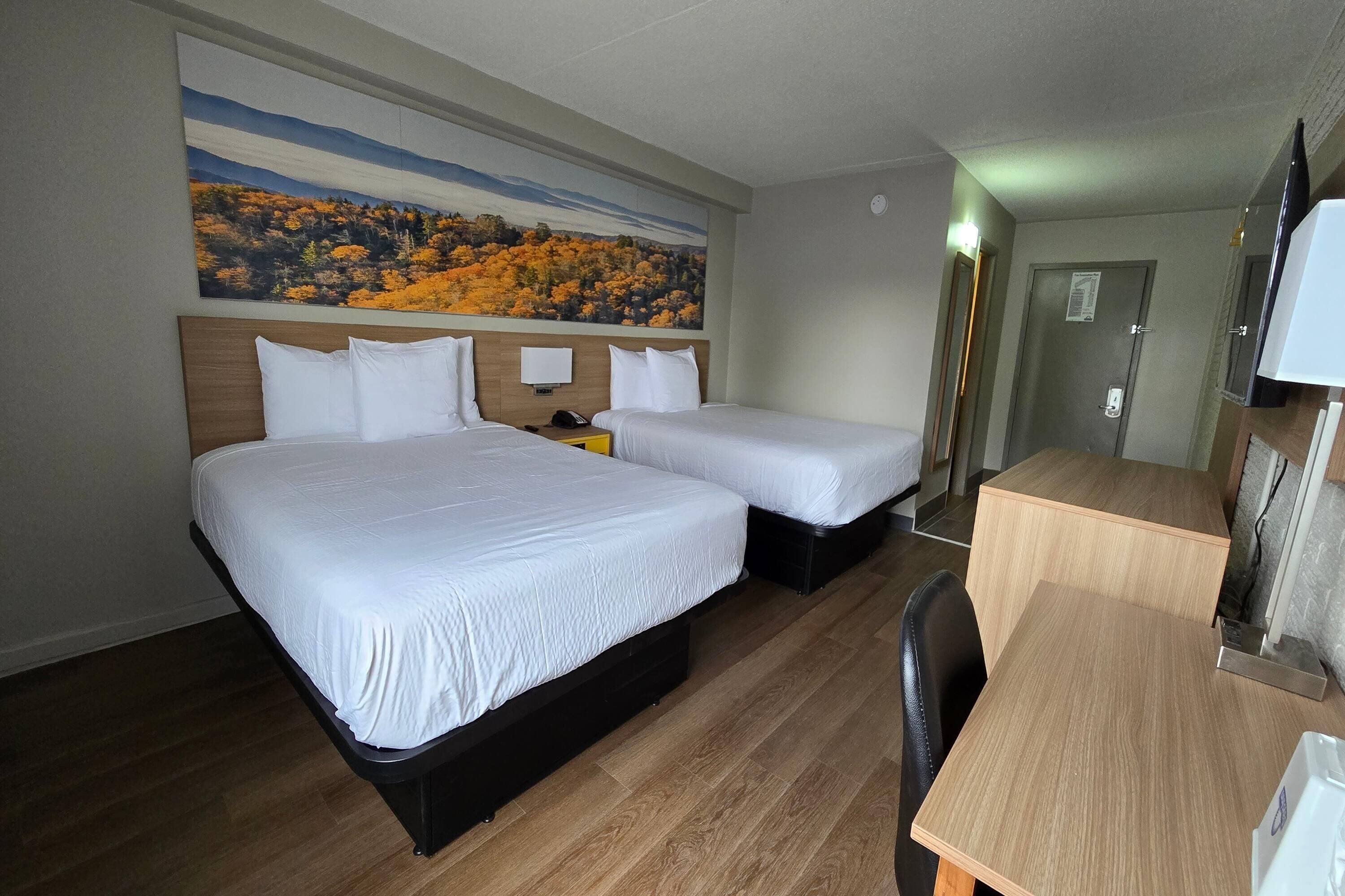 Chambre, 2 grands lits, non-fumeur | Bureau, espace de travail pour ordinateurs portables