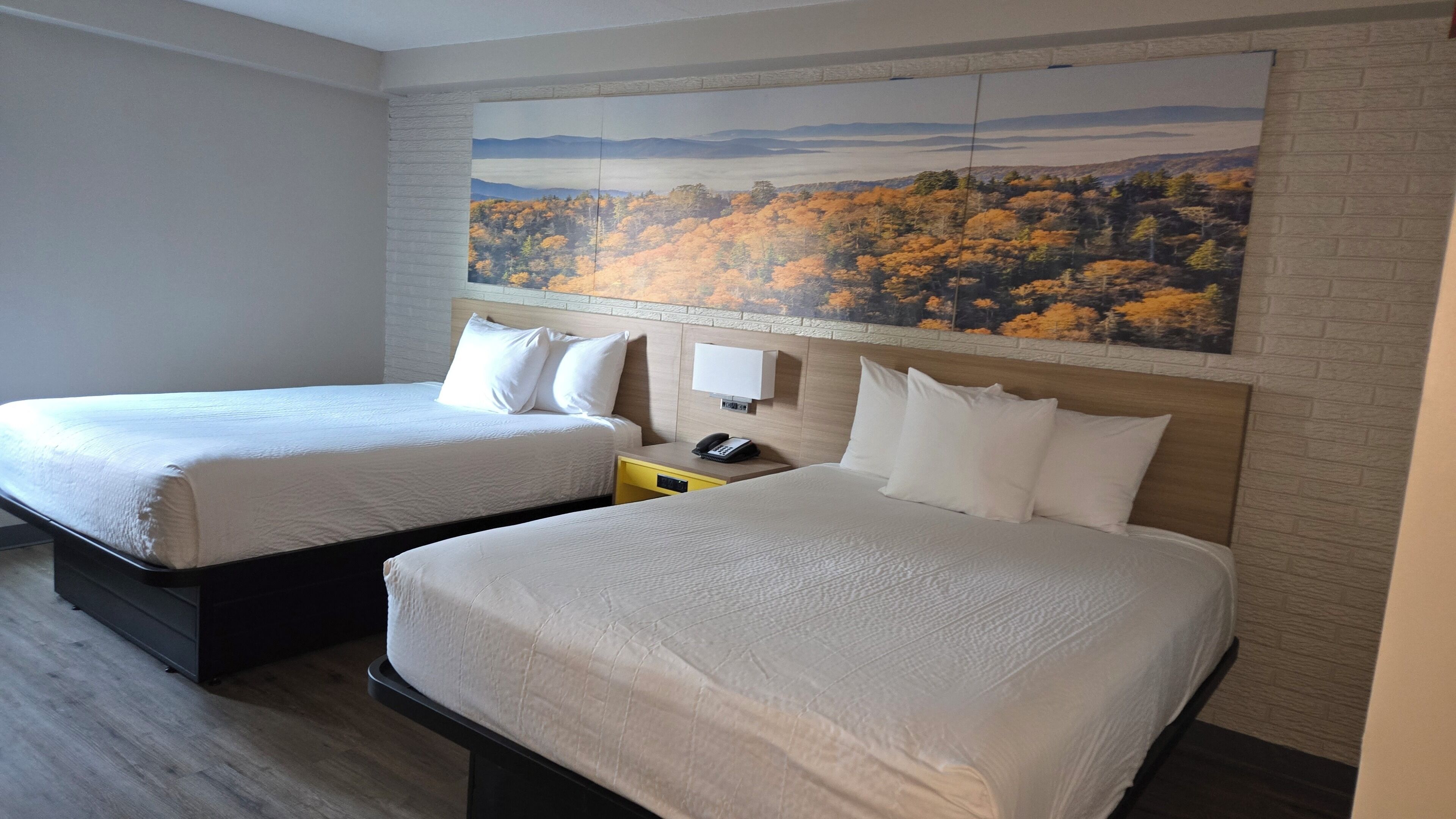 Room, 2 Queen Beds, Non Smoking | Desk, laptop workspace, blackout drapes, iron/ironing board (on request)