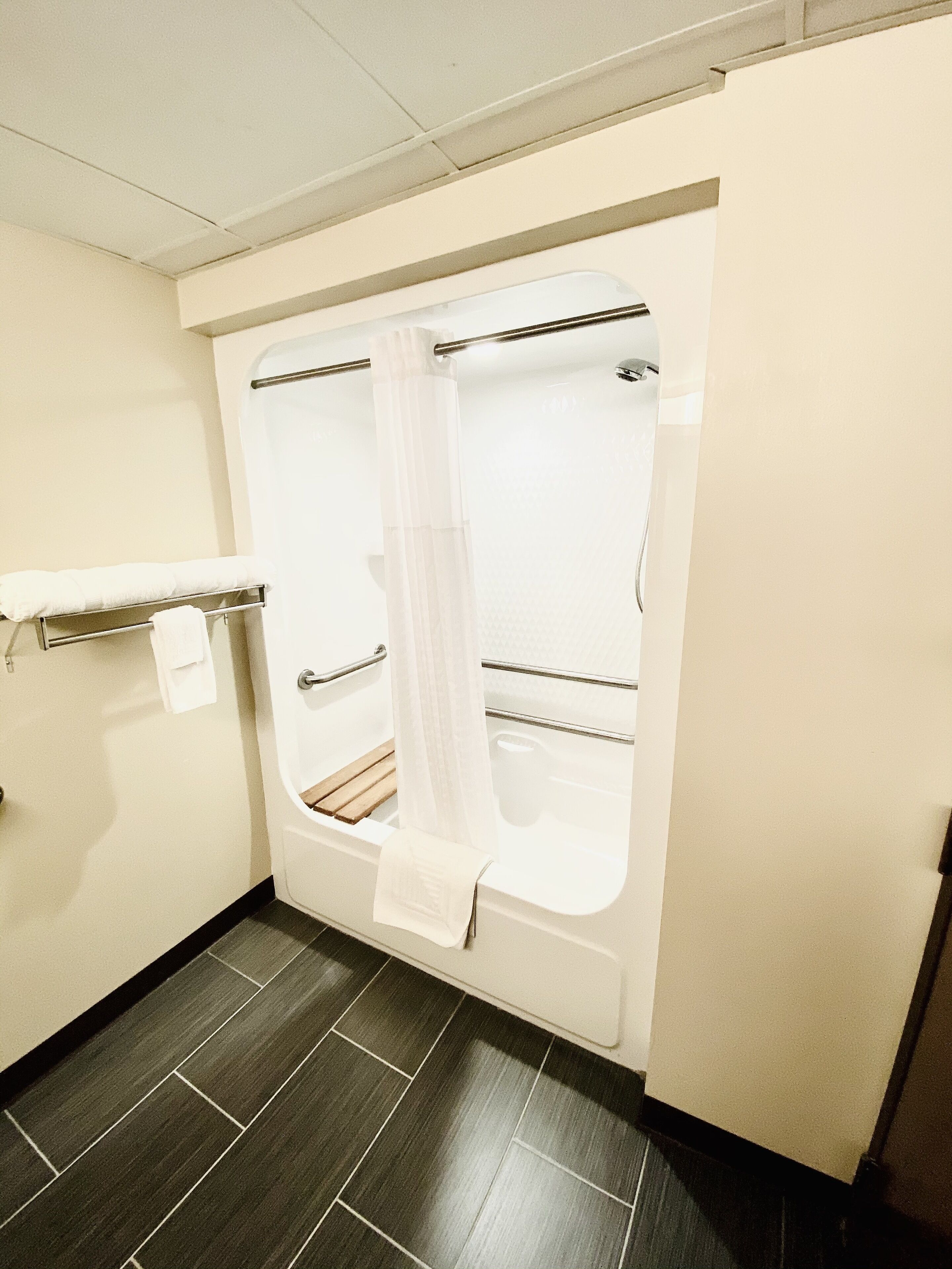 standard single room, 1 king bed, accessible, non smoking (accessible tub) | bathroom | free toiletries, hair dryer, towels