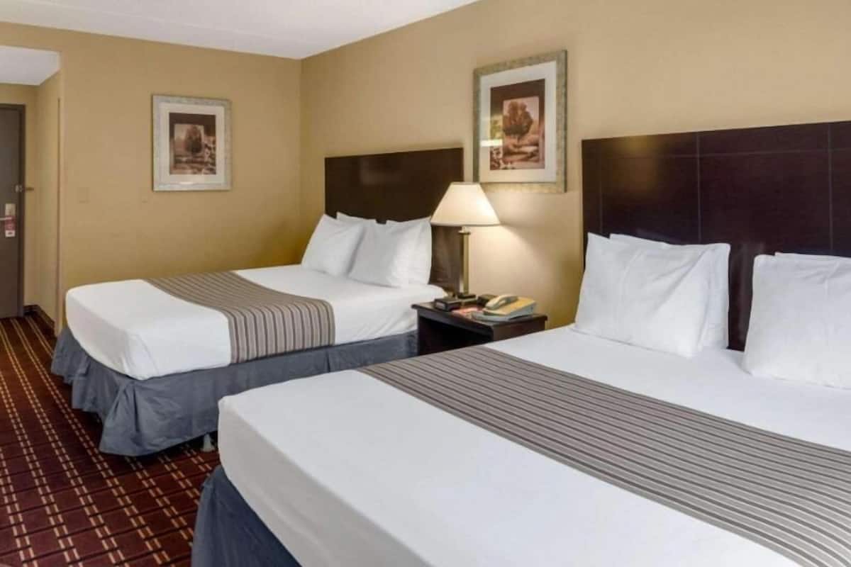 Two beds with white linens, a dark headboard, a bedside table with a lamp, and a framed picture on the wall.