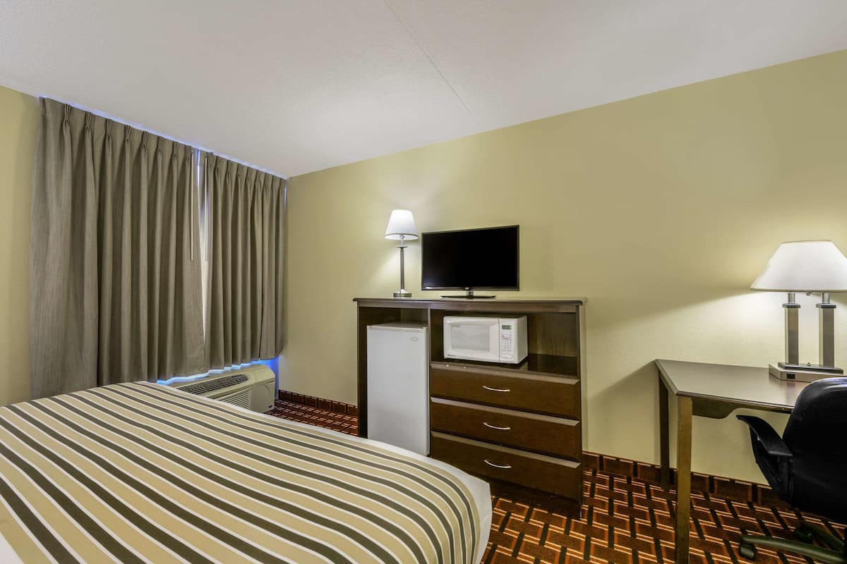 A hotel room with a bed, a desk, a television, a microwave, and a chair.