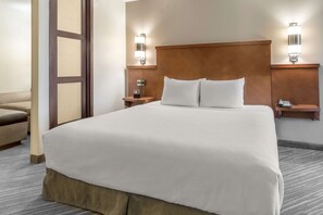 Standard Studio Suite, 1 King Bed with Sofa bed, Accessible, Bathtub