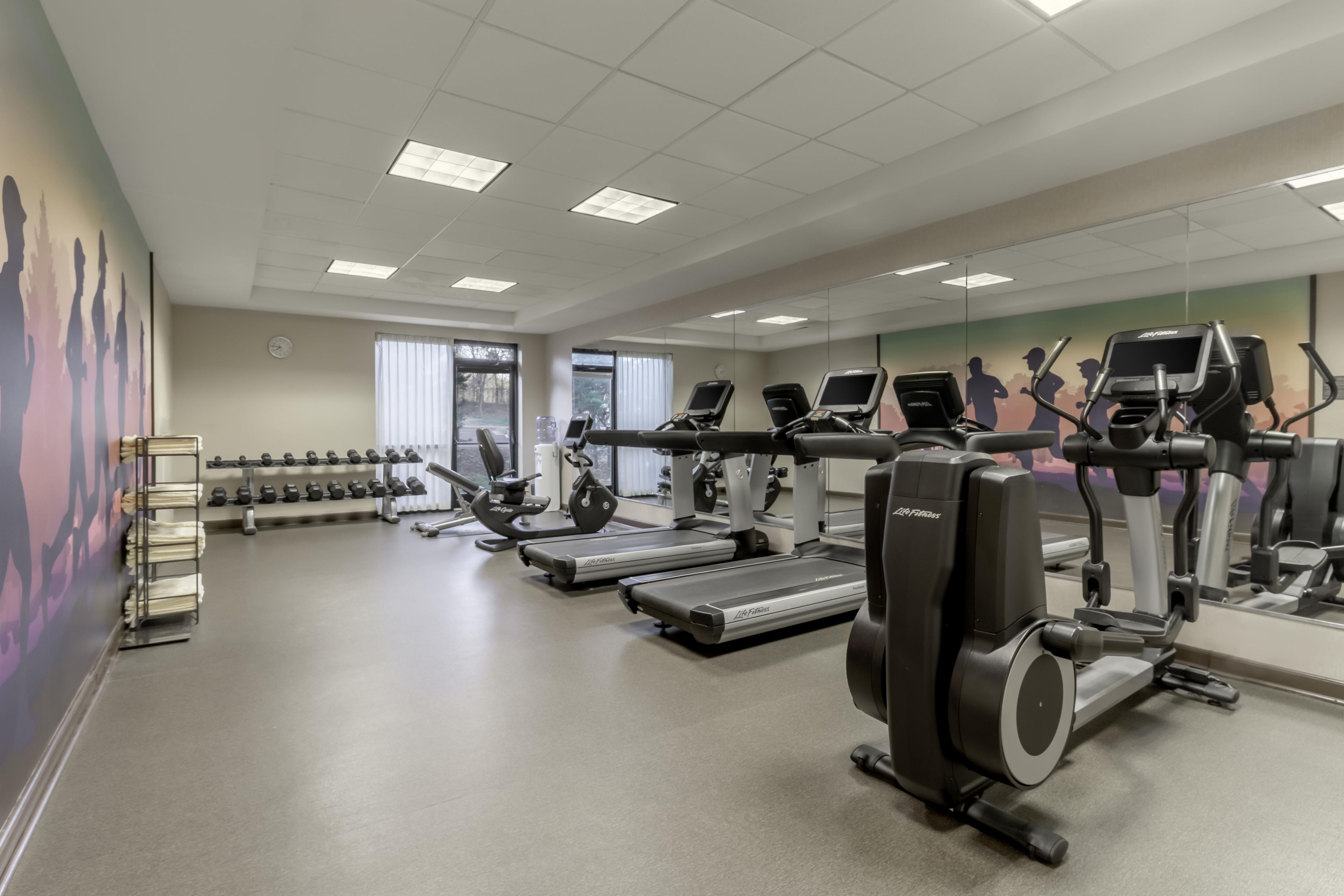 A gym with treadmills, elliptical machines, and dumbbells.