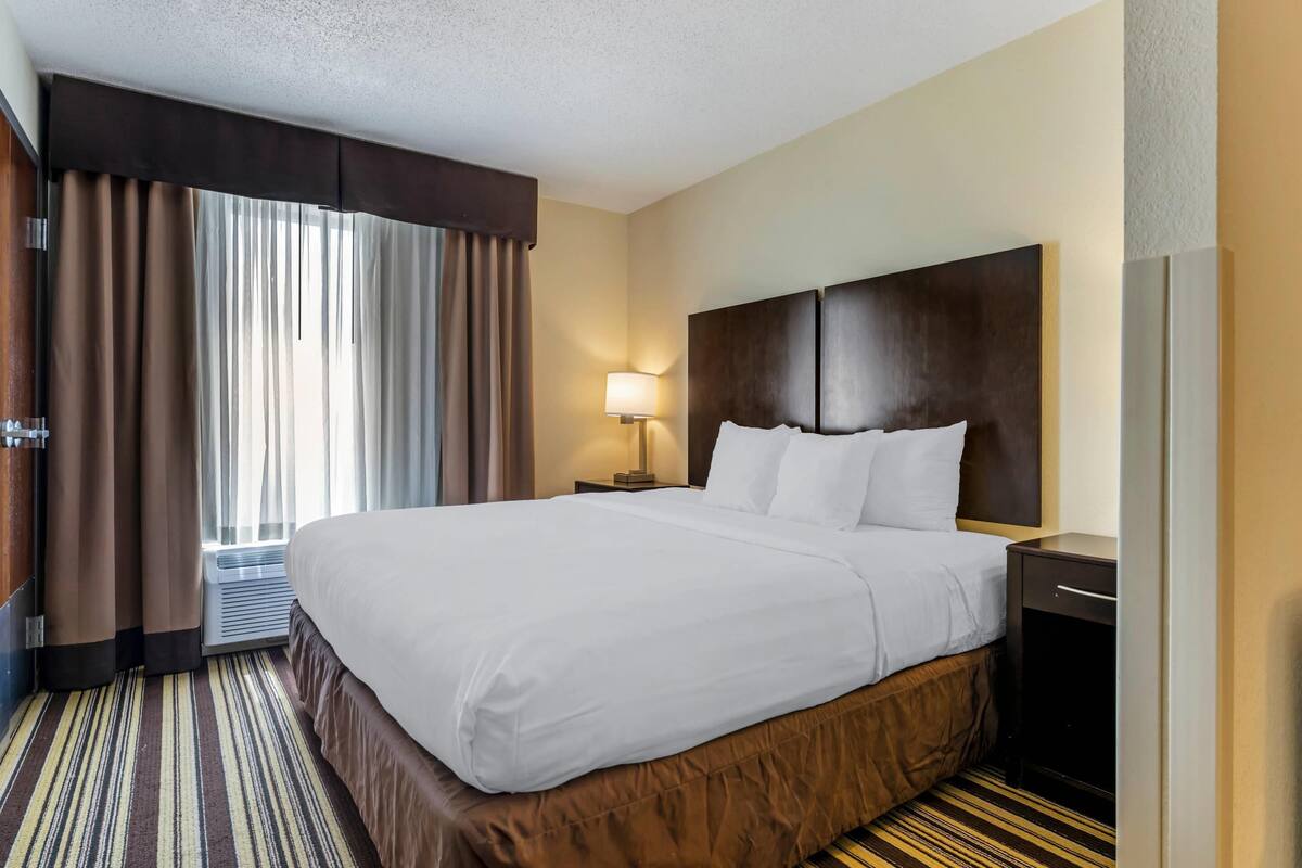 A hotel room with a large bed, a bedside table with a lamp, a window with curtains, and a striped carpet.